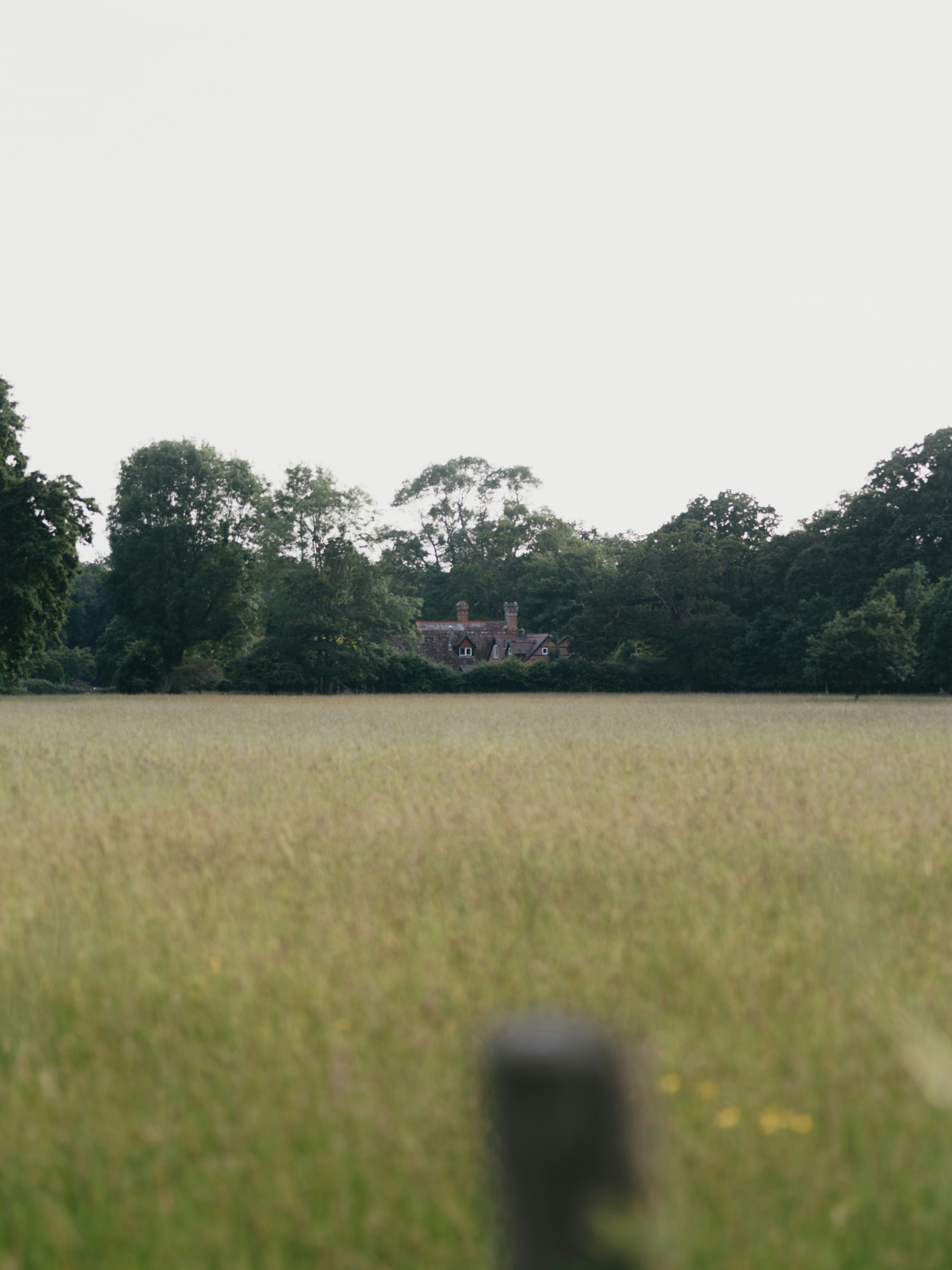 Photo by anniespratt