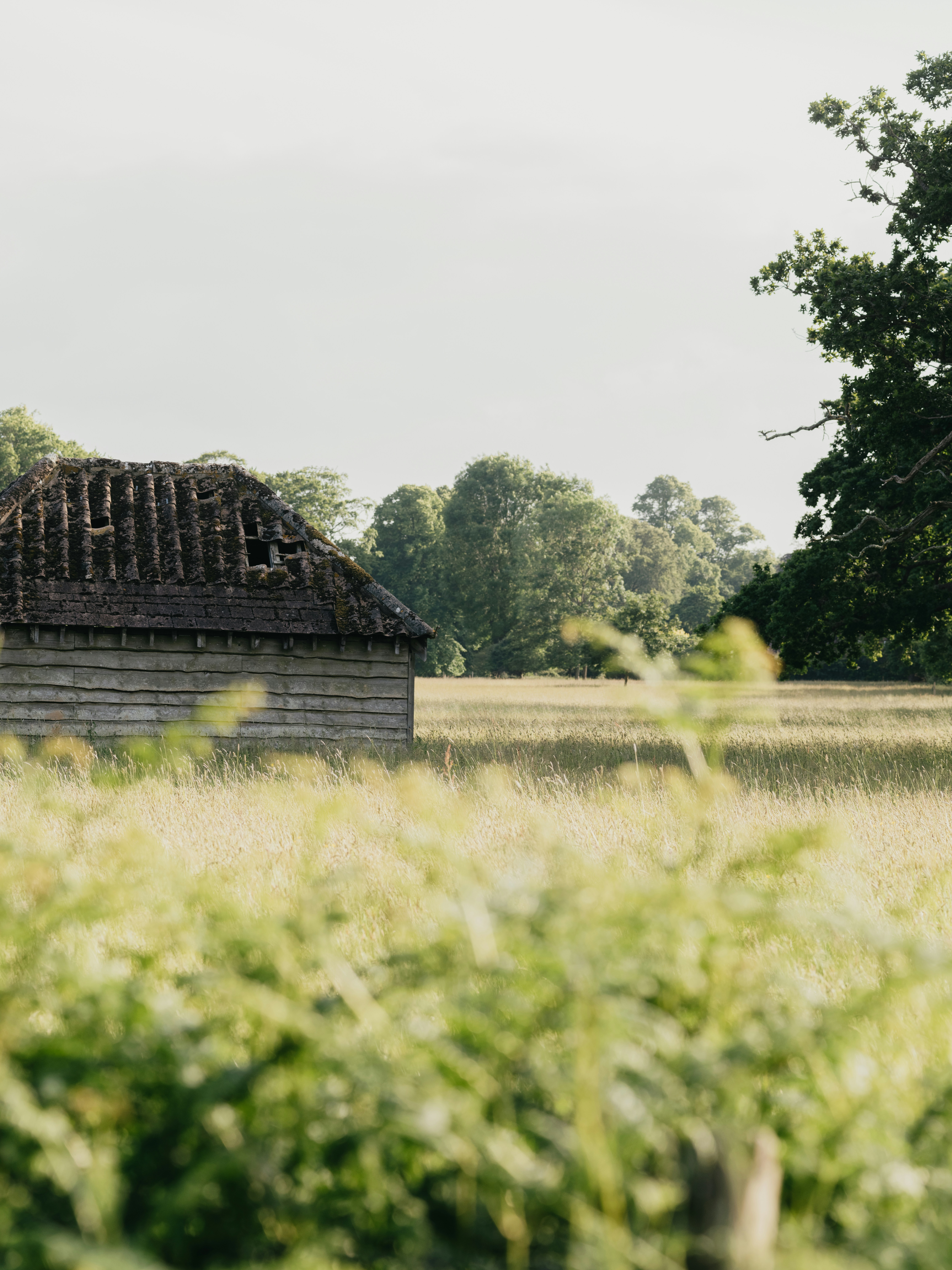 Photo by anniespratt