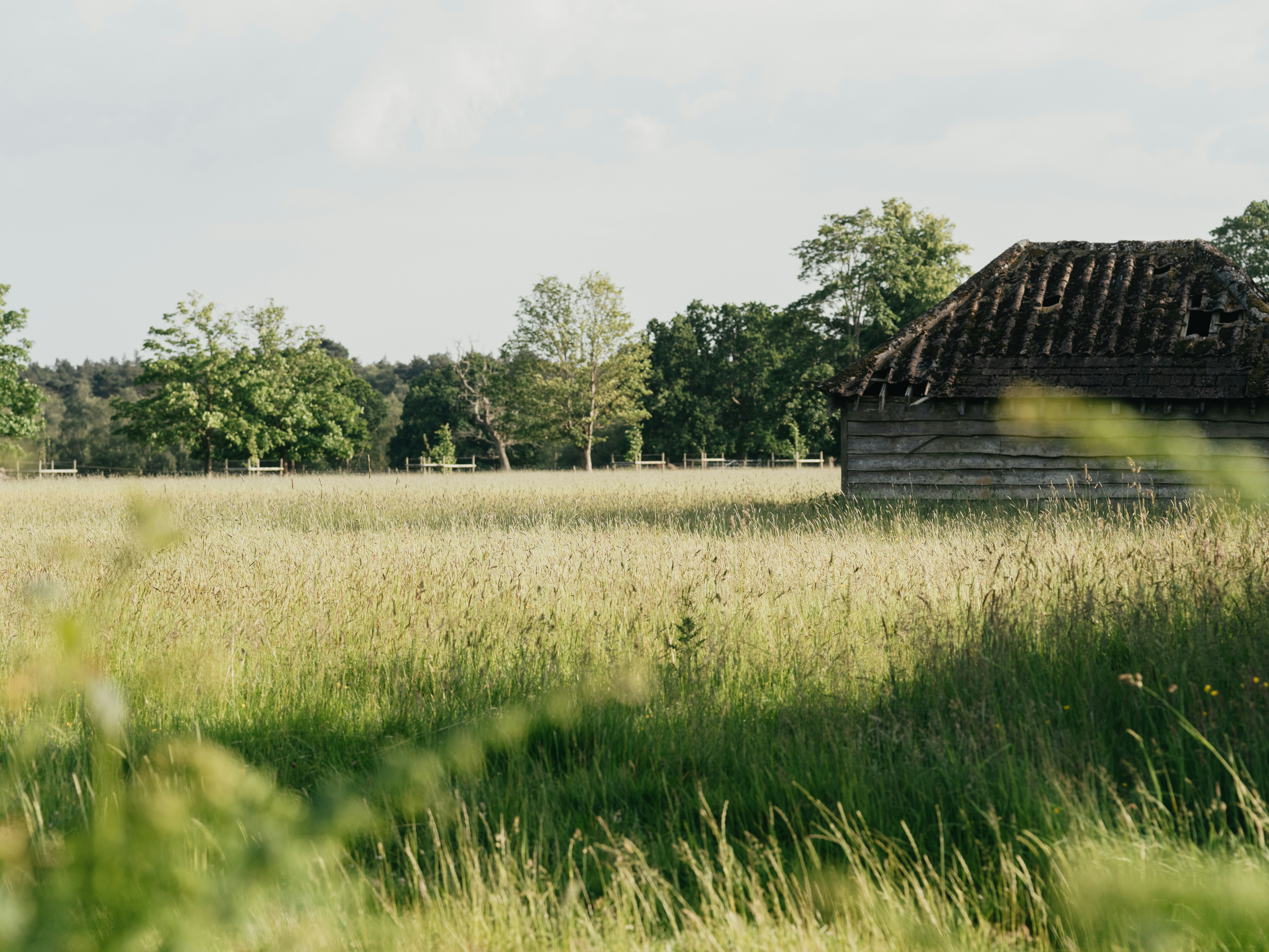 Photo by anniespratt