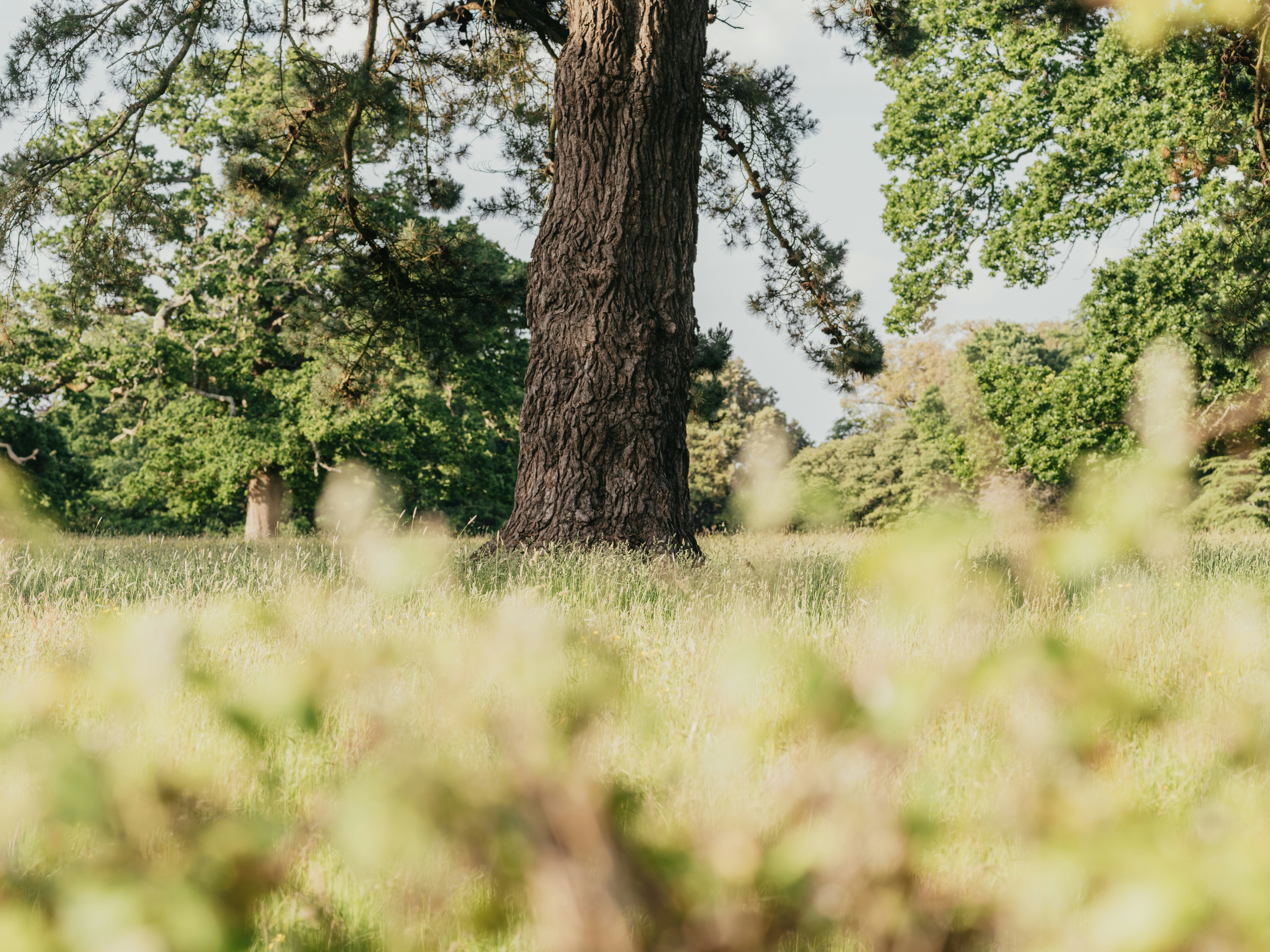 Photo by anniespratt