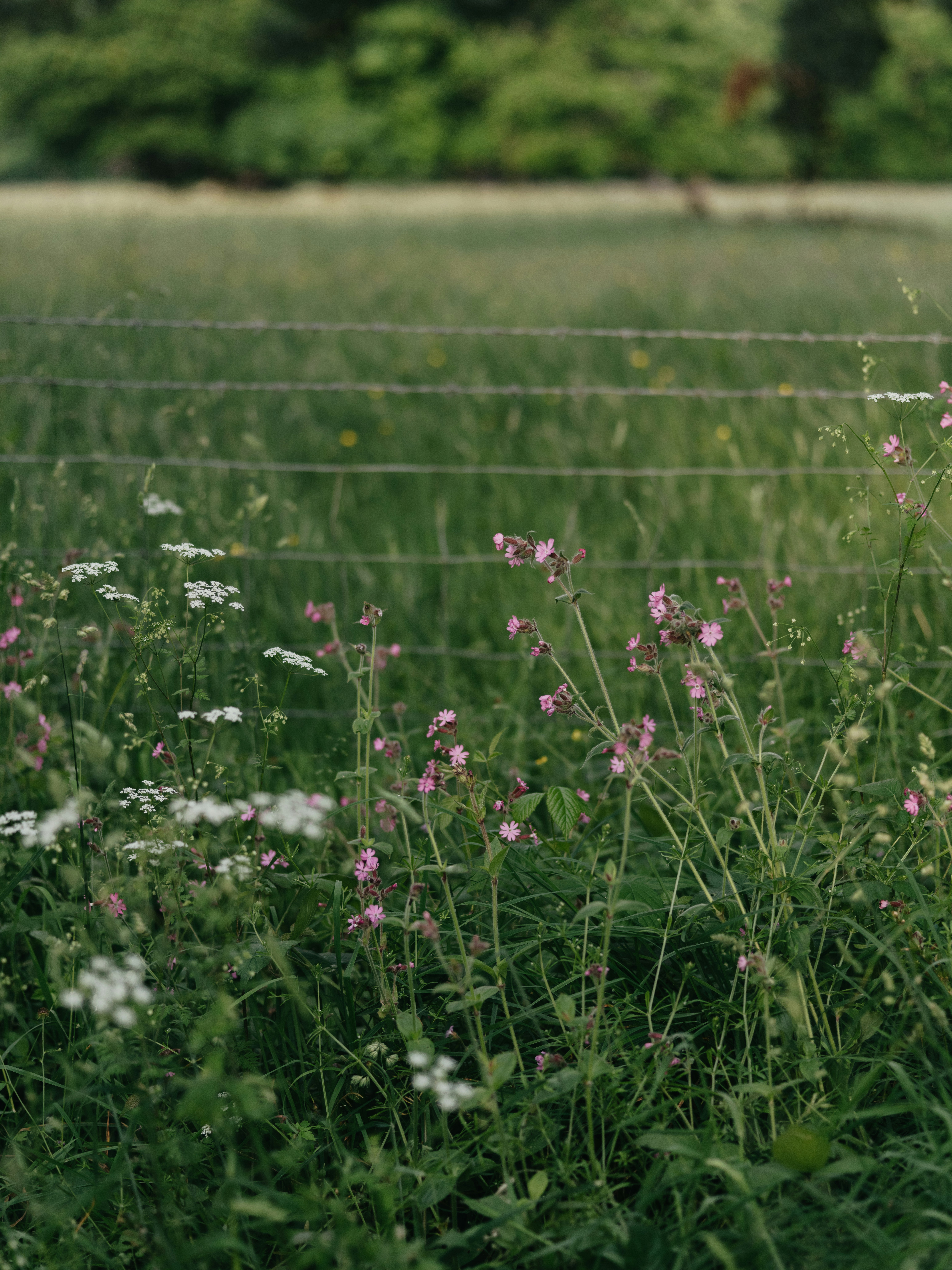 Photo by anniespratt