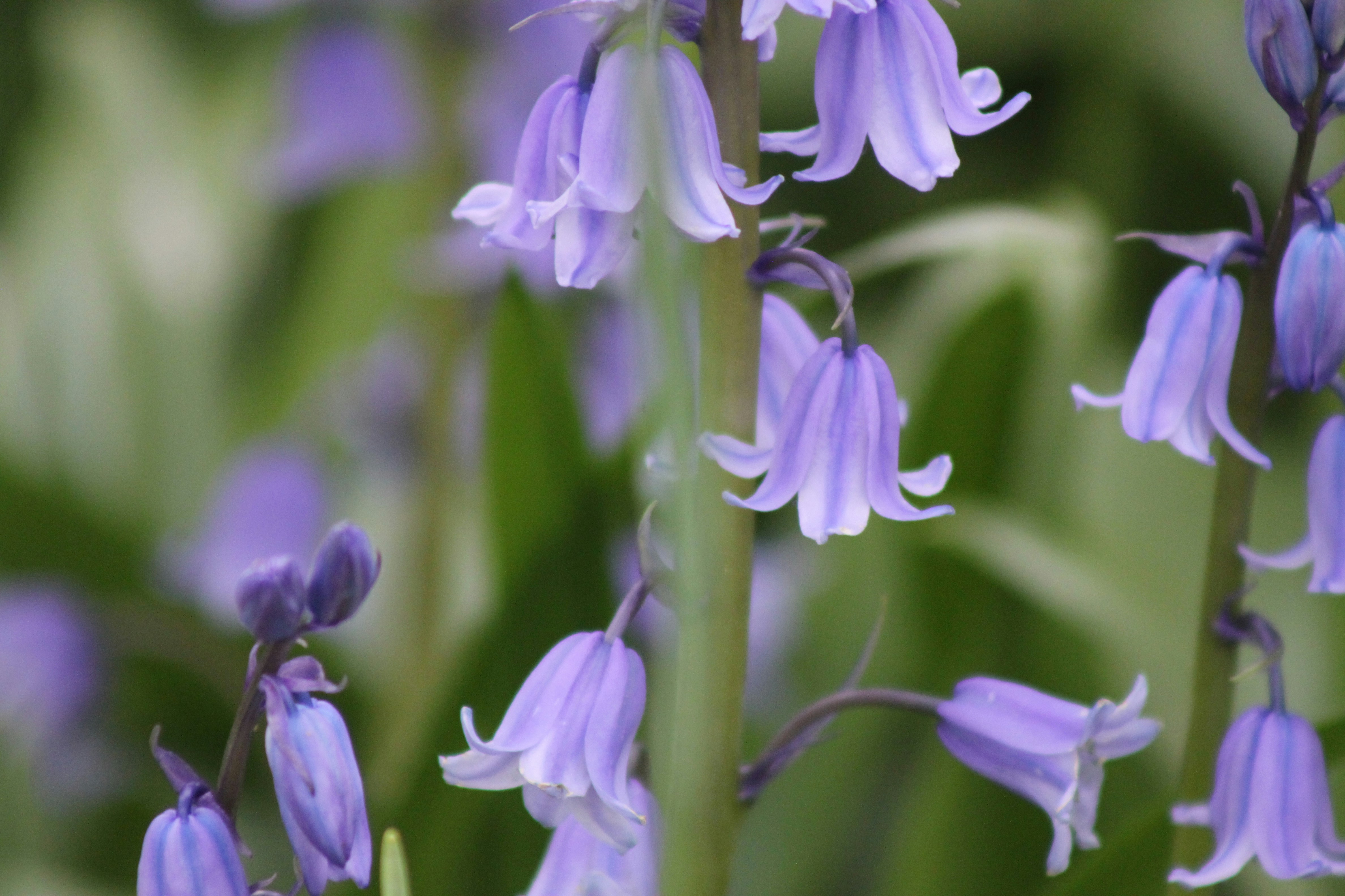 Photo by rubyphotography