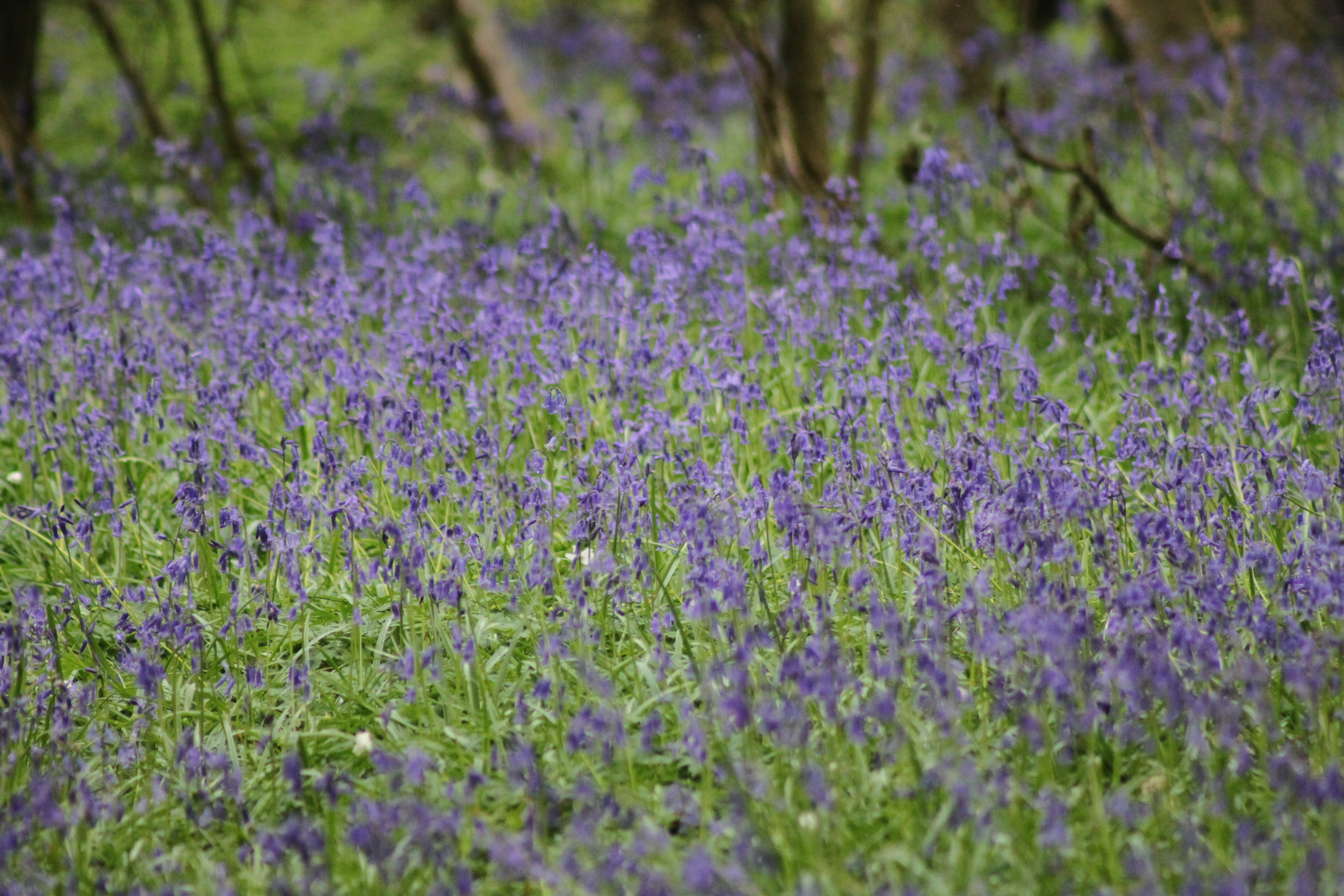 Photo by rubyphotography