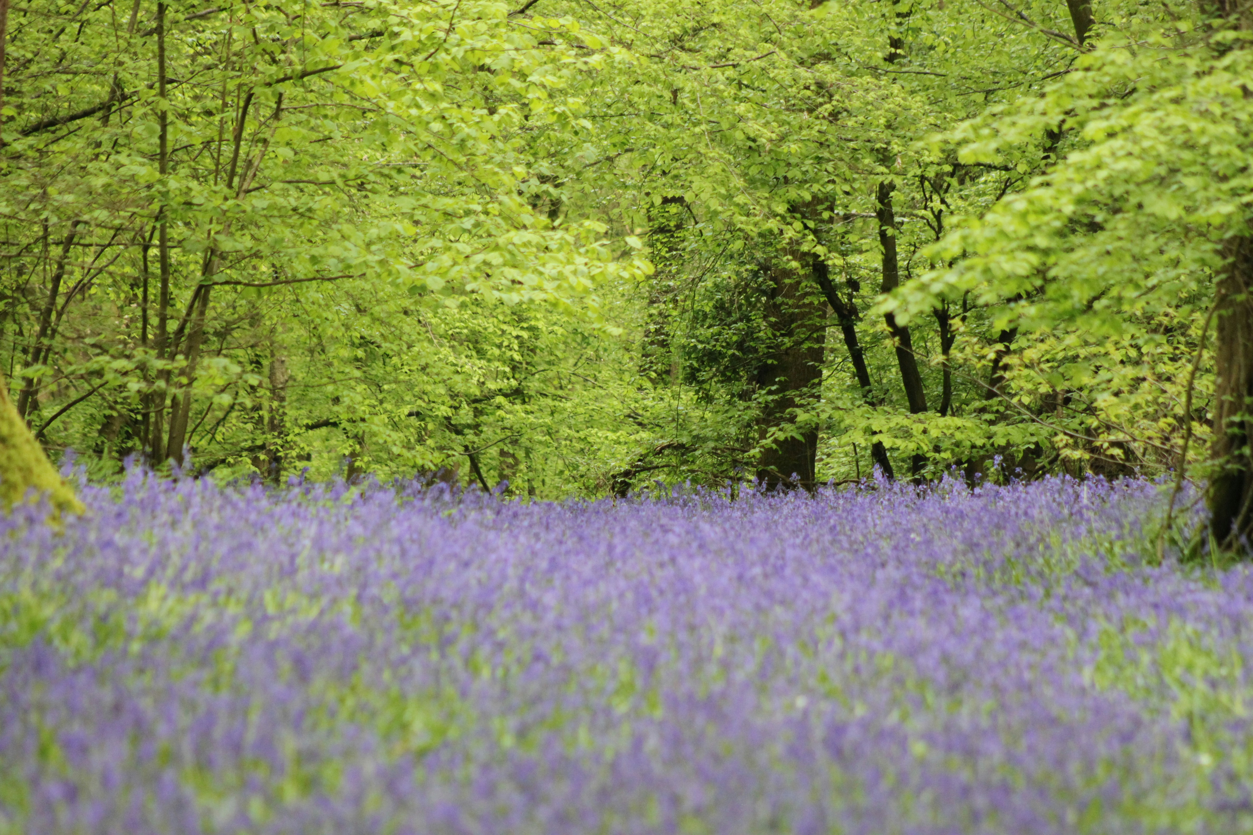 Photo by rubyphotography