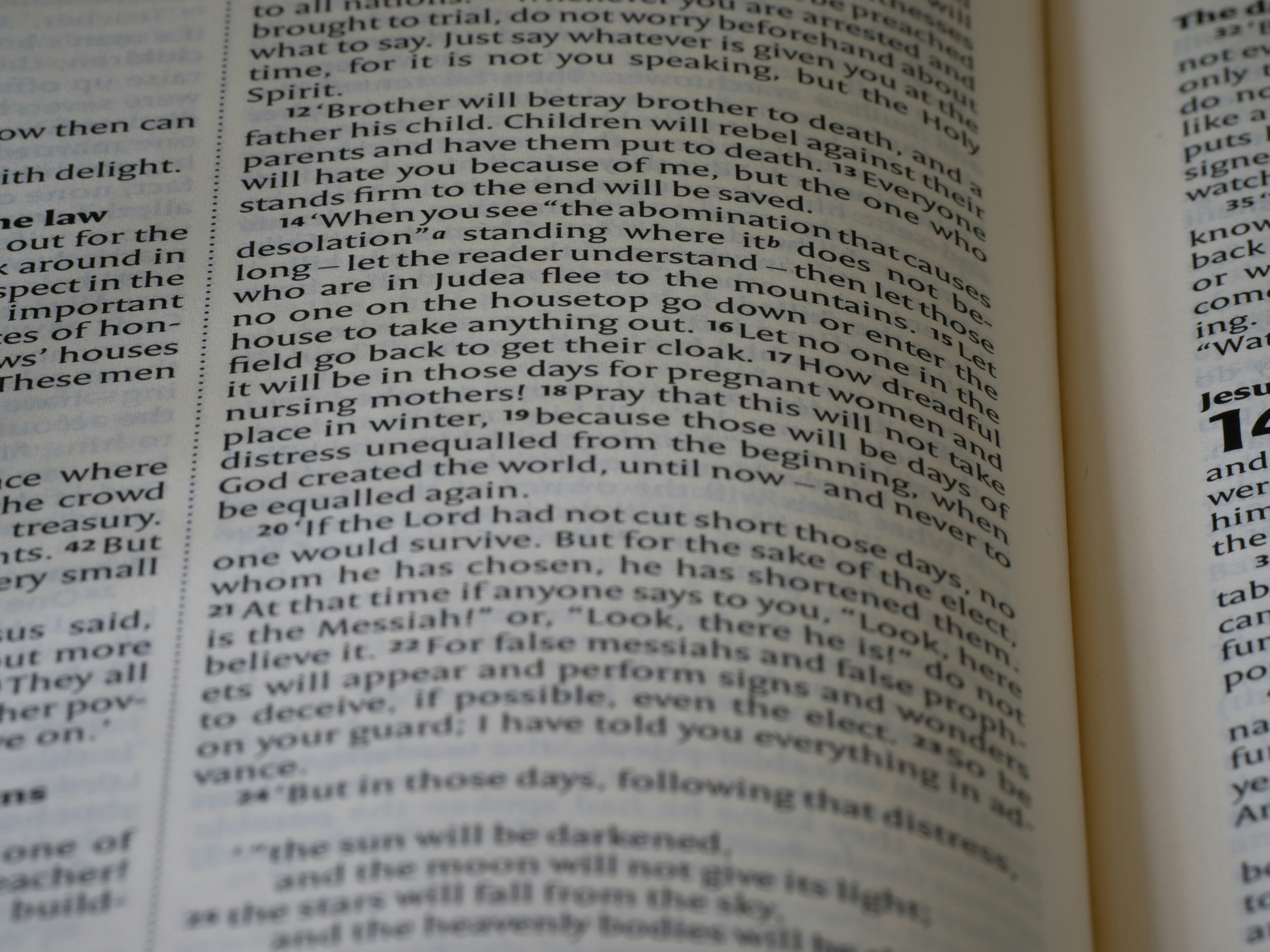 Photo by brett_jordan