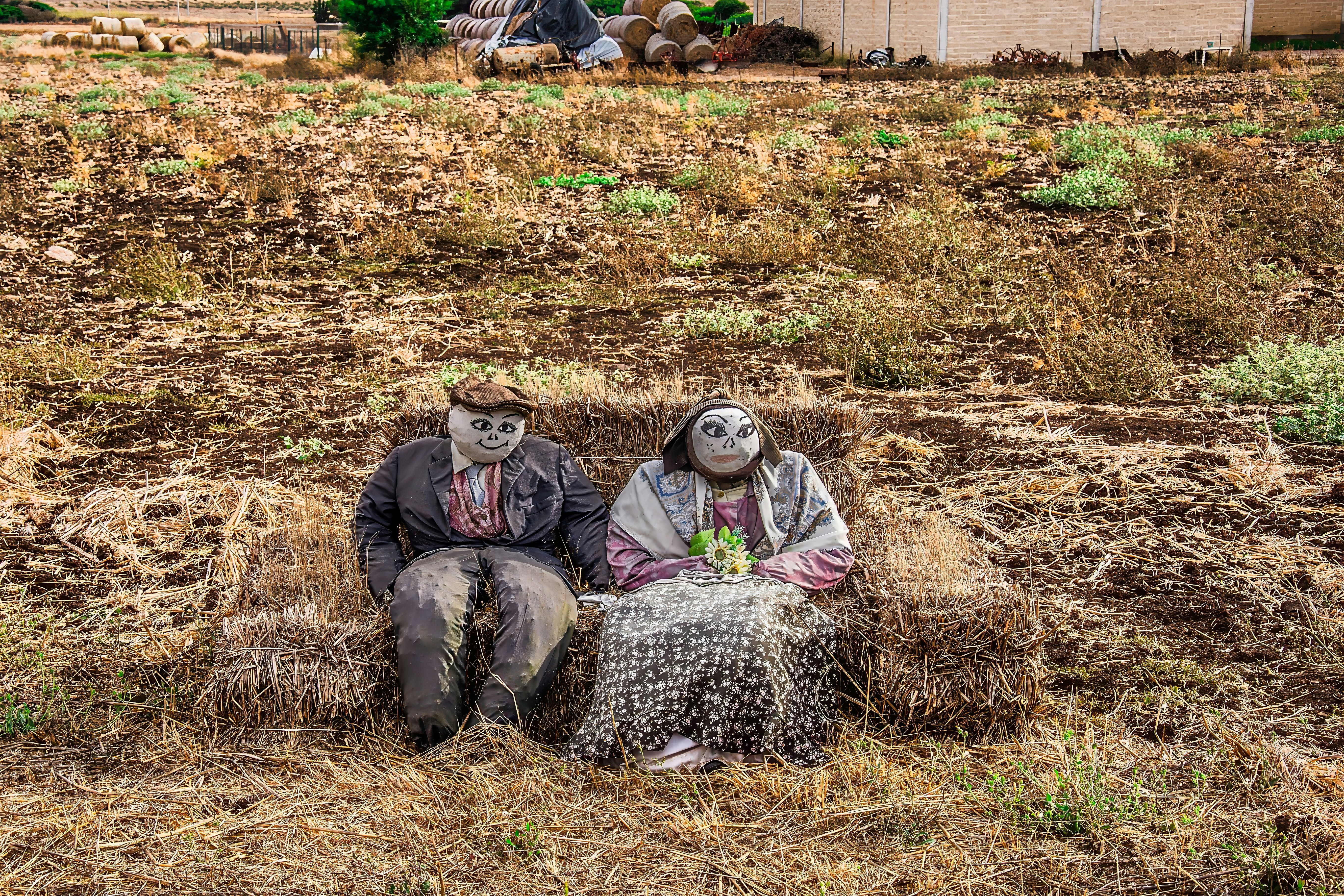 a couple of scarecrows sitting in a field