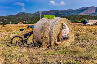 a bicycle is parked next to a hay bale