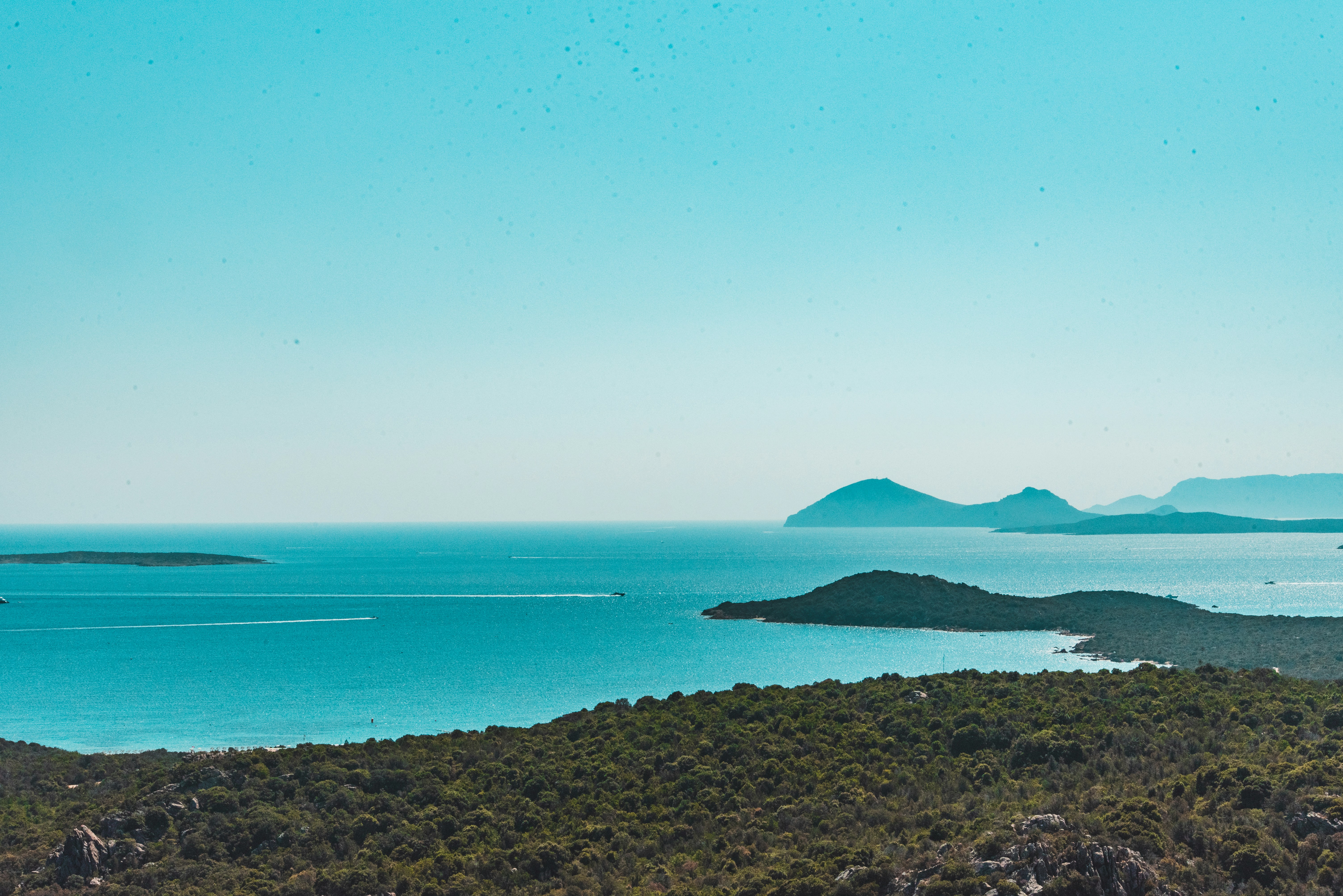 a large body of water surrounded by trees