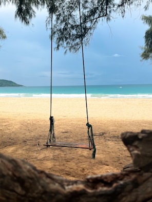 a swing on the beach with a view of the ocean