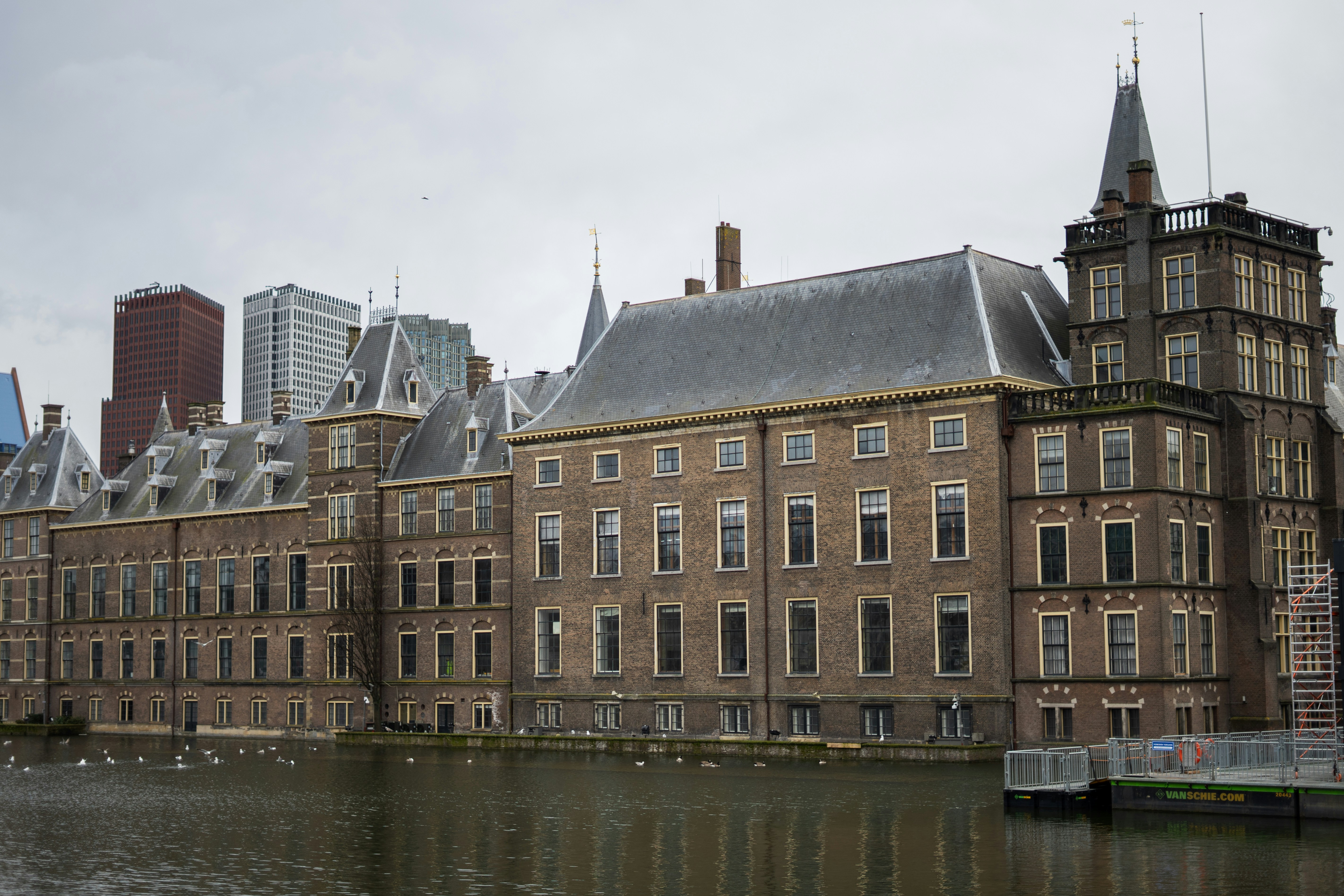 Photo by saeedkolivand