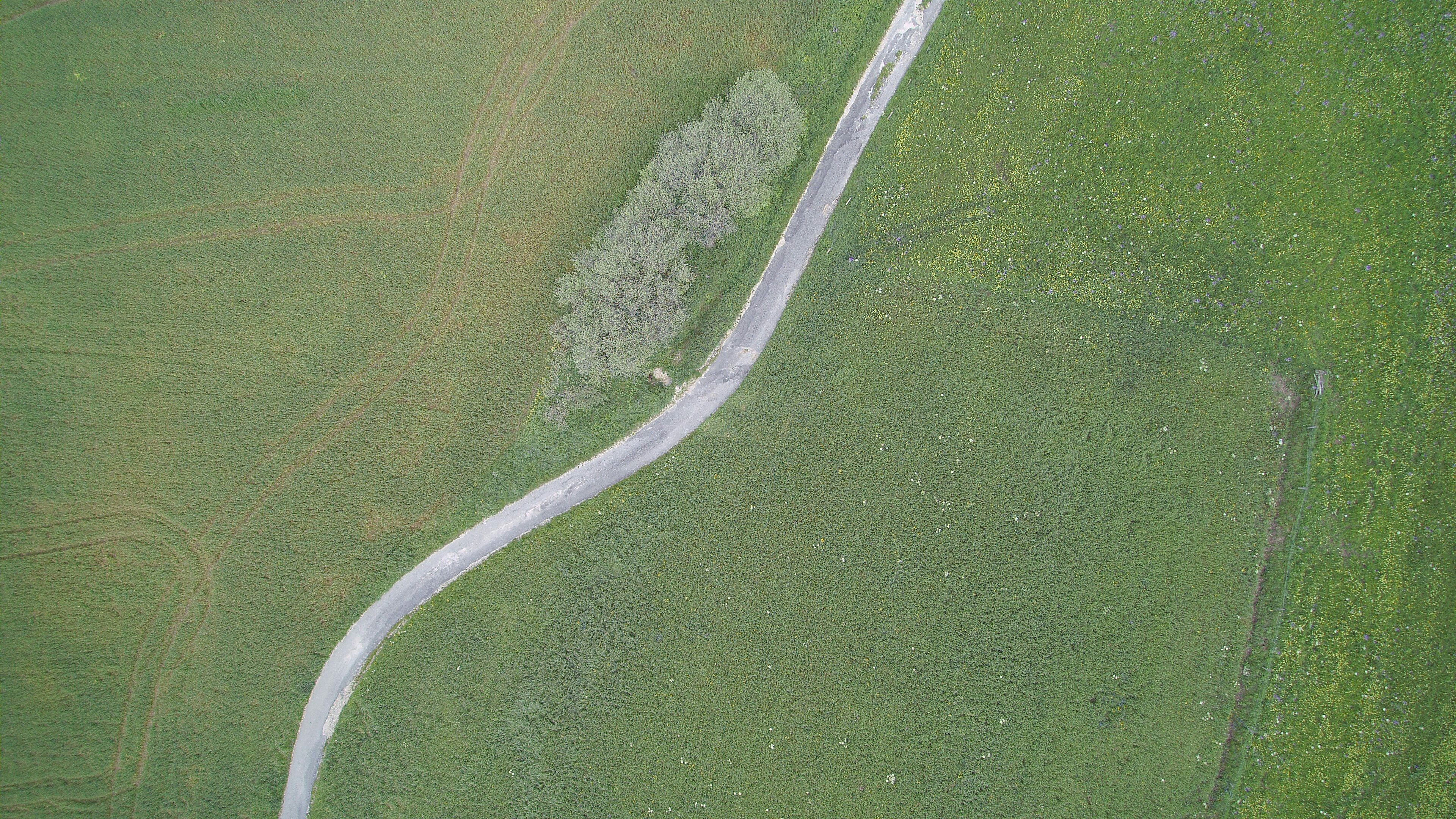 Photo by yannis_photos