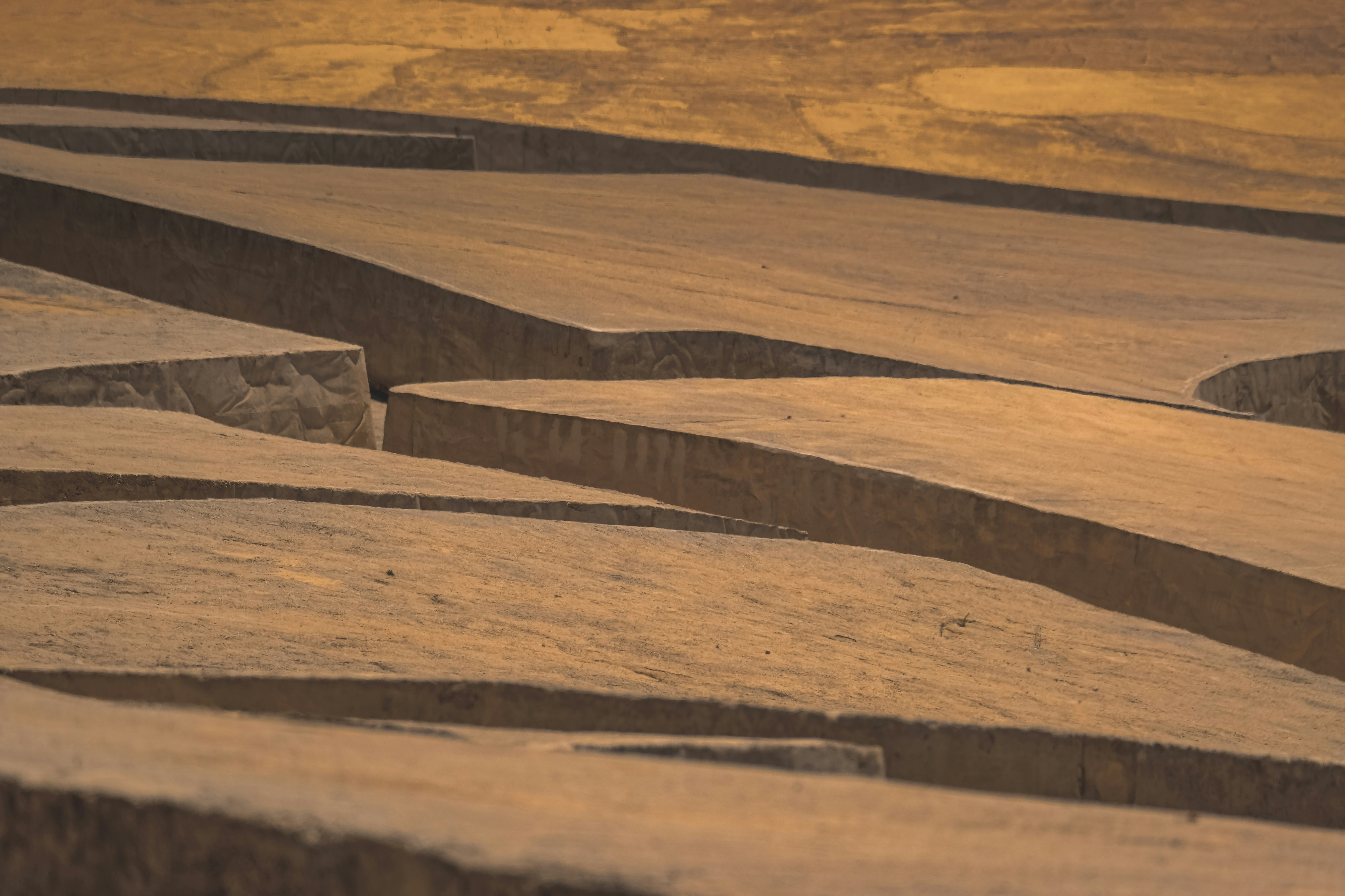 Photo by francesco_ungaro