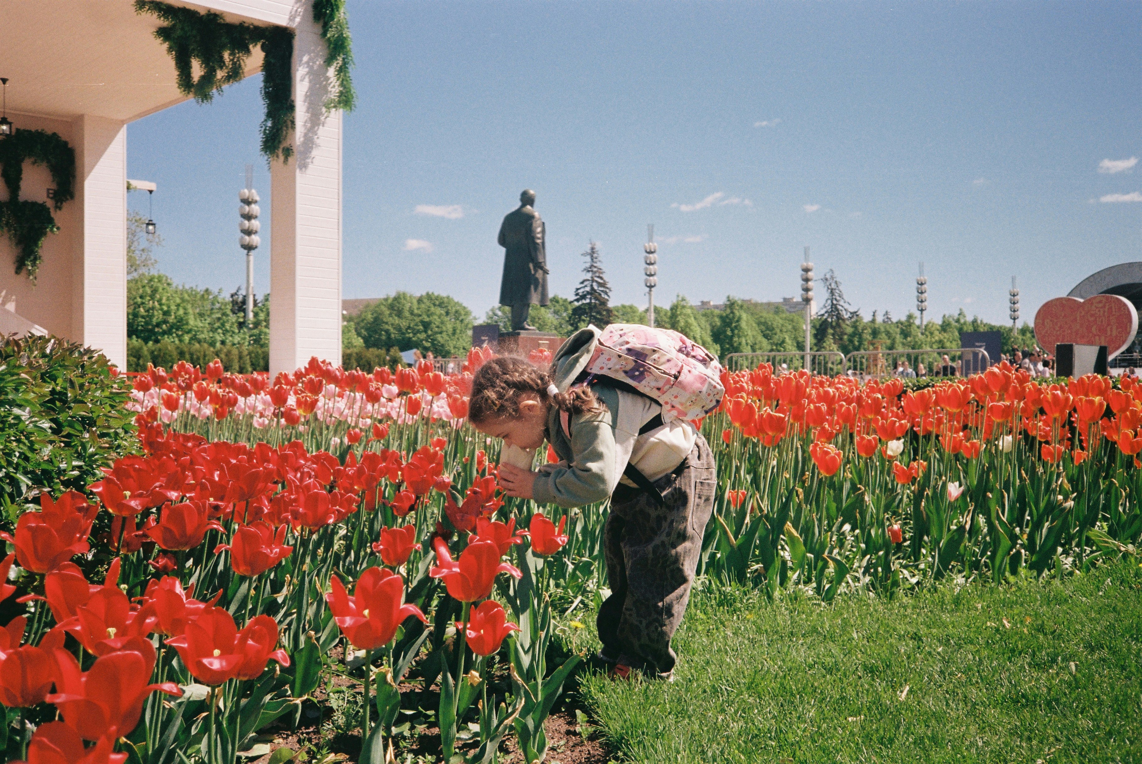 a young girl picking flowers in a field