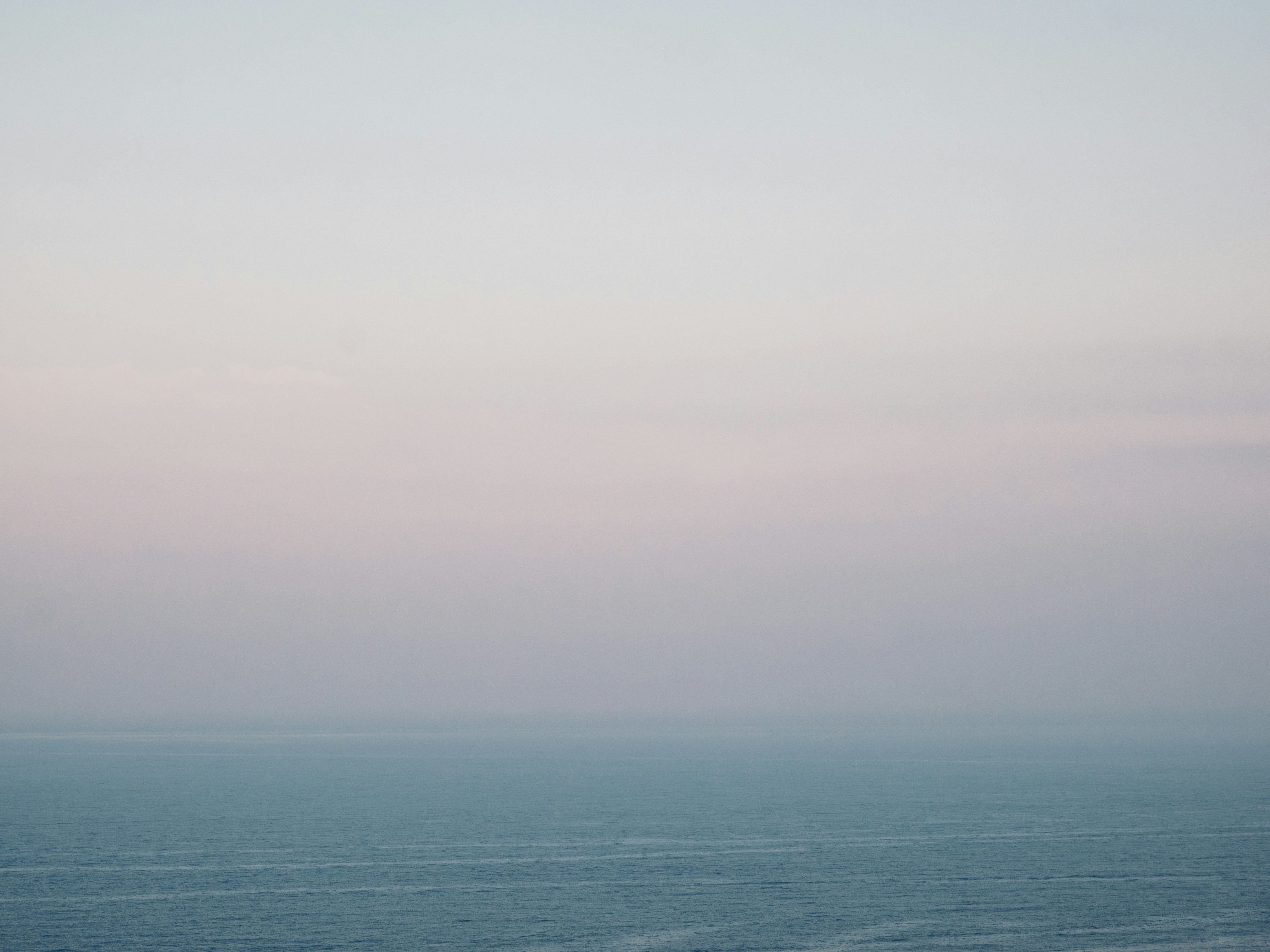 Photo by lucadgr
