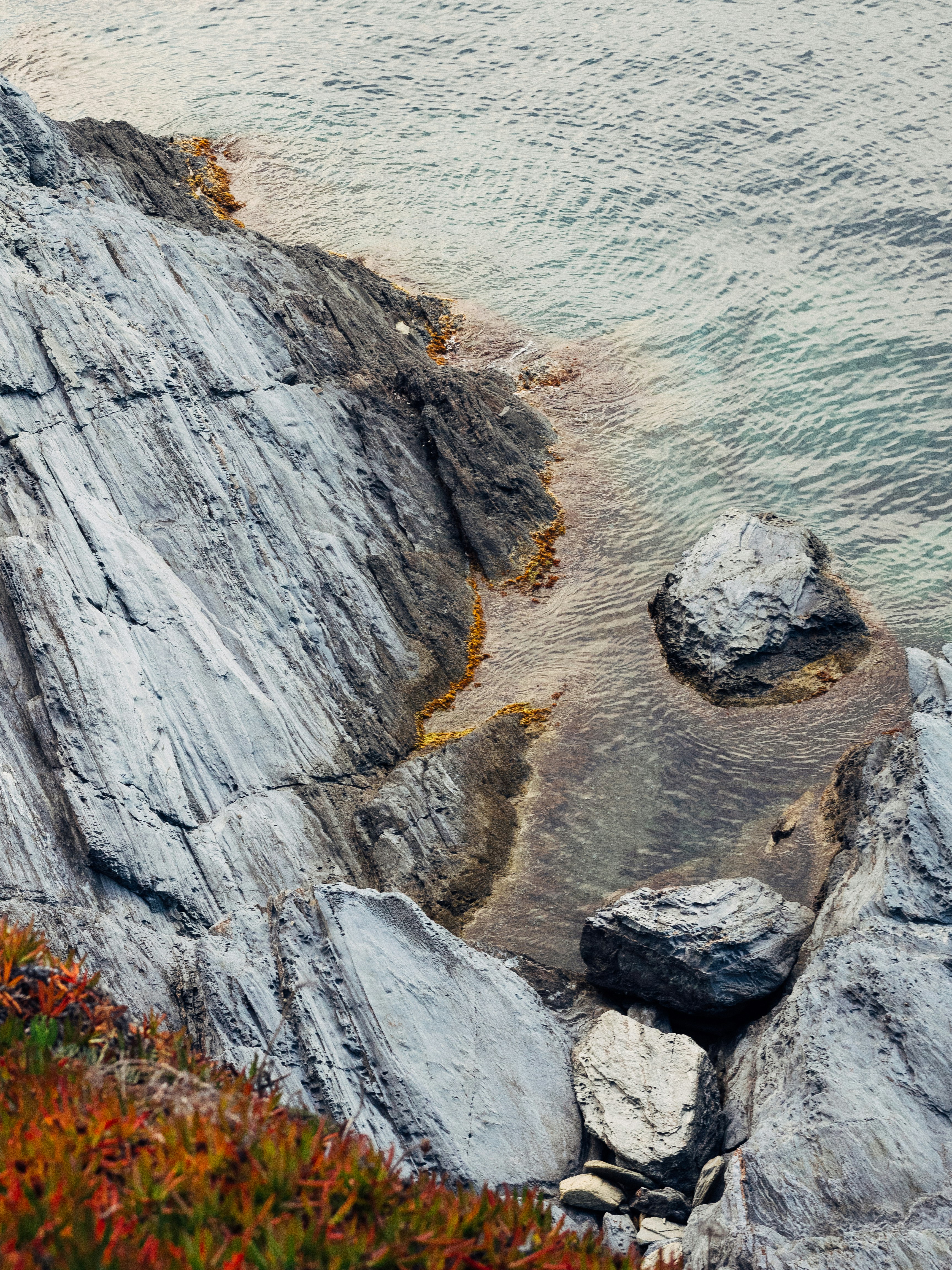a bird sitting on top of a rock next to a body of water