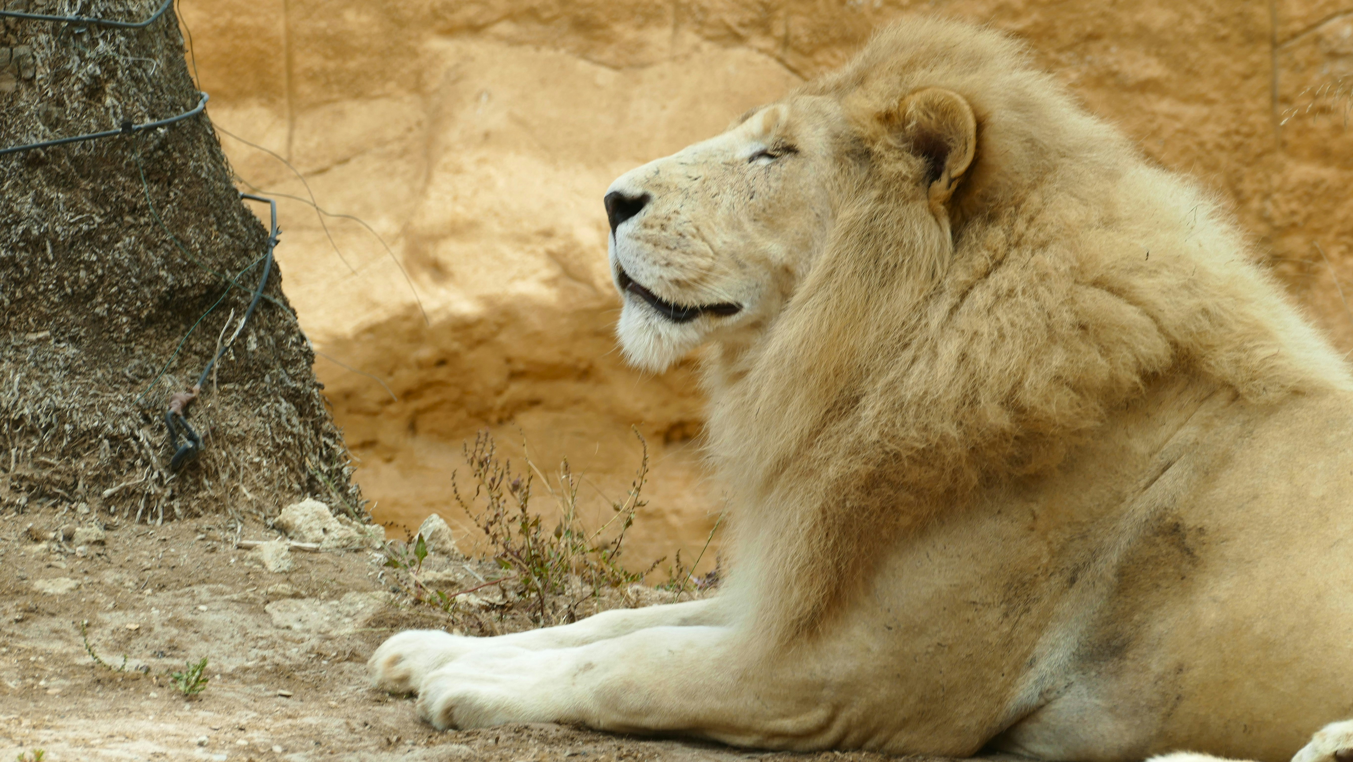 Body Language: More Than Words (image credits: unsplash)