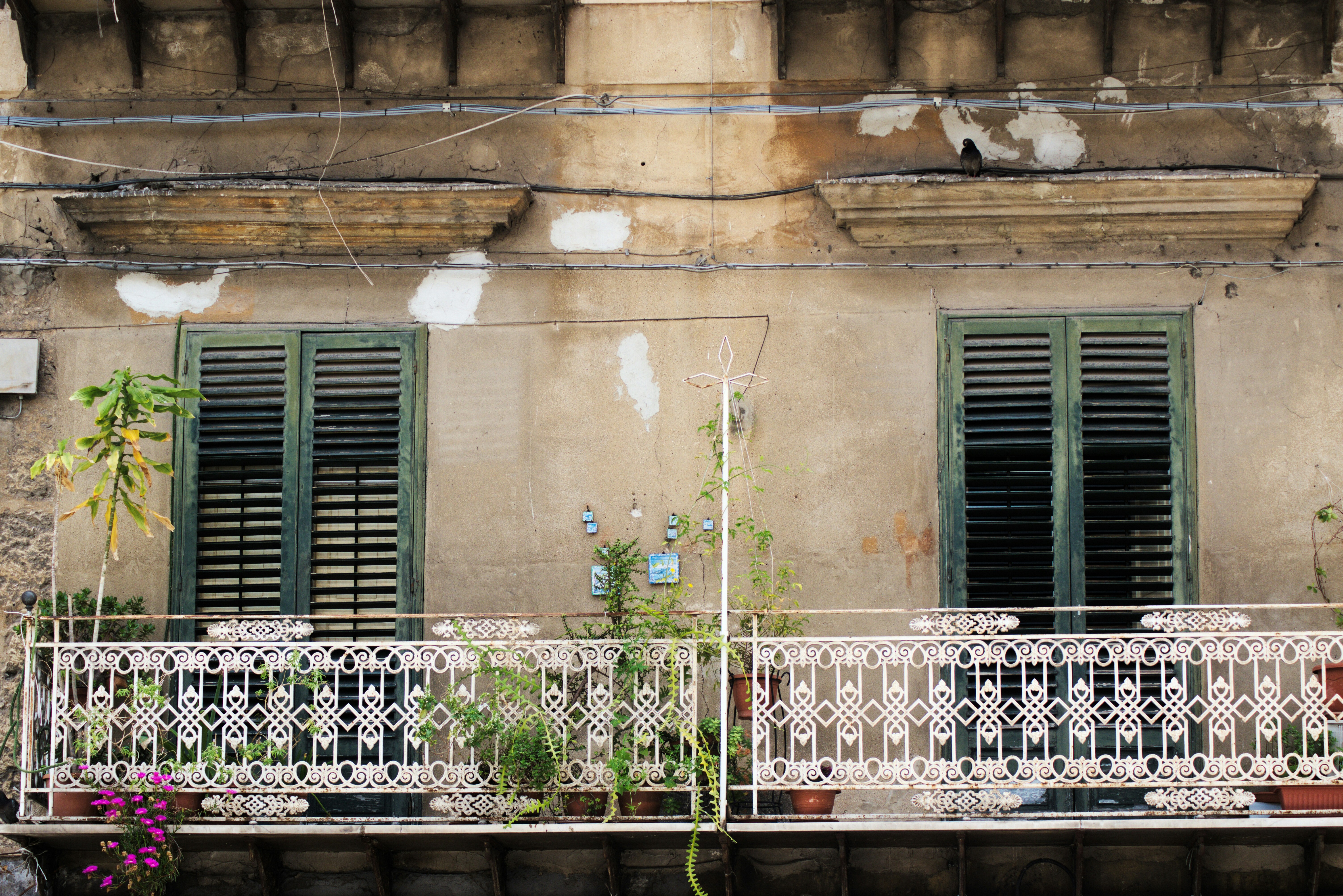 Photo by jmespiga