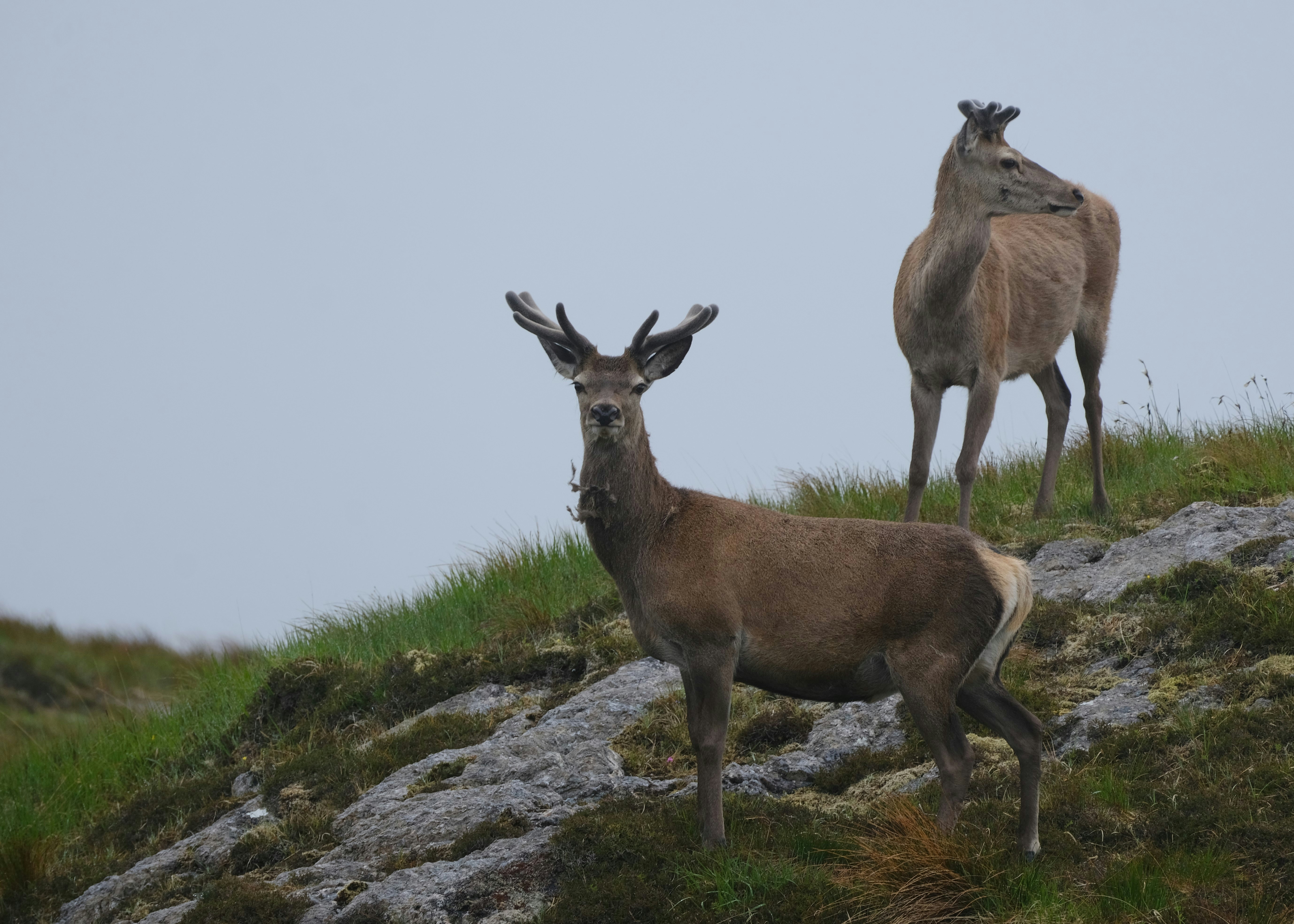 Photo by rory_tucker_photography