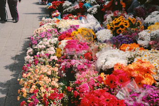 a bunch of flowers that are on a sidewalk