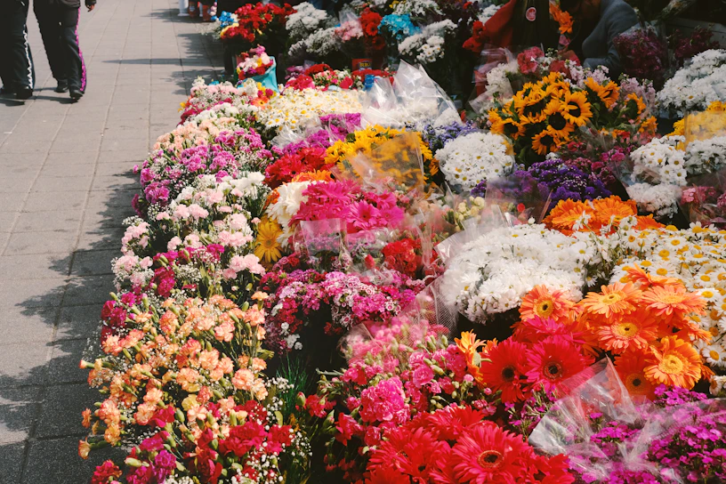 a bunch of flowers that are on a sidewalk