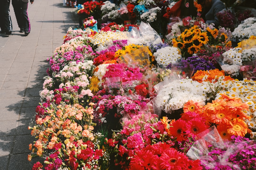 Joko Flora Kwiaciarnia