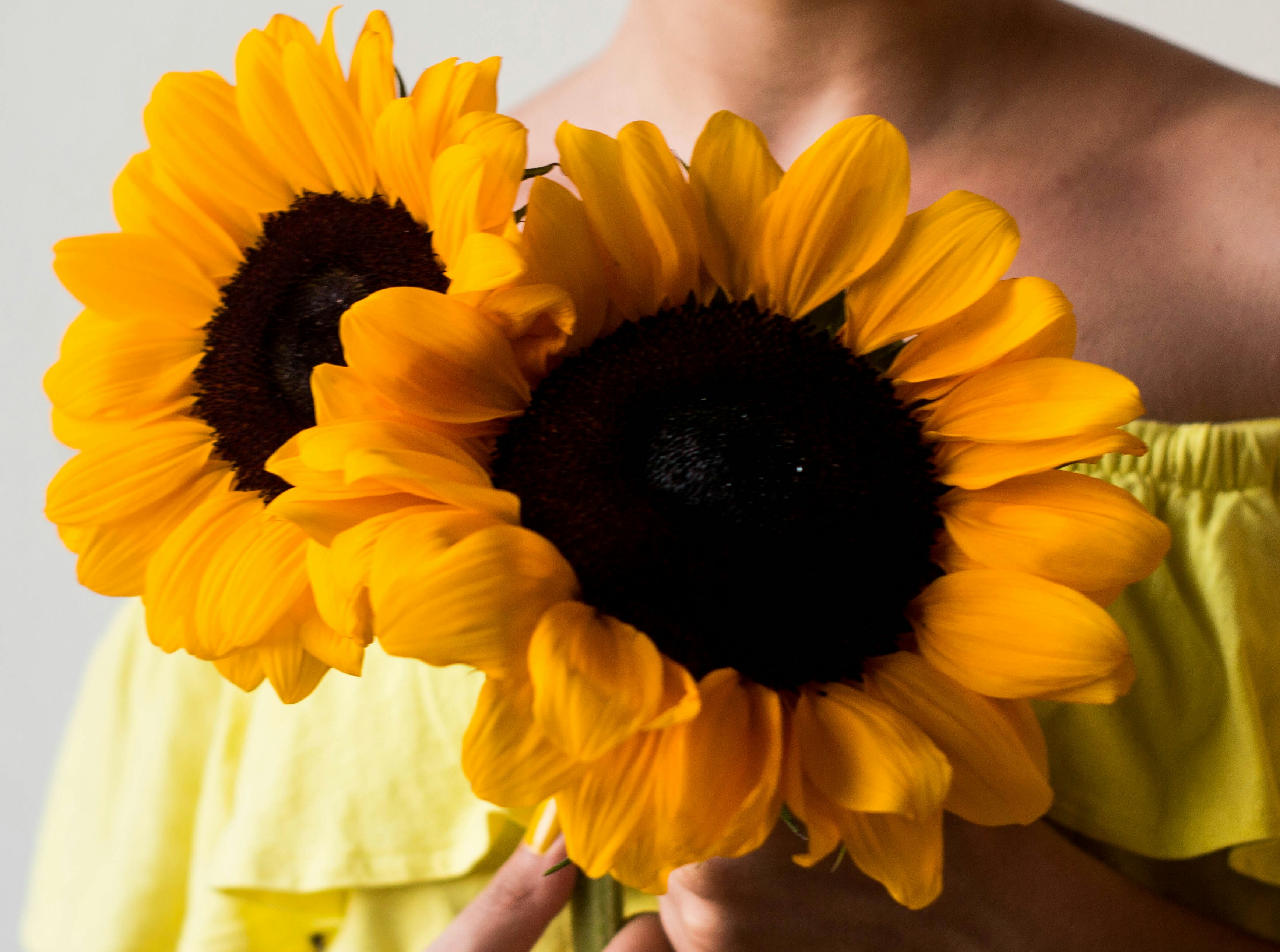 Photo by melaniamat97