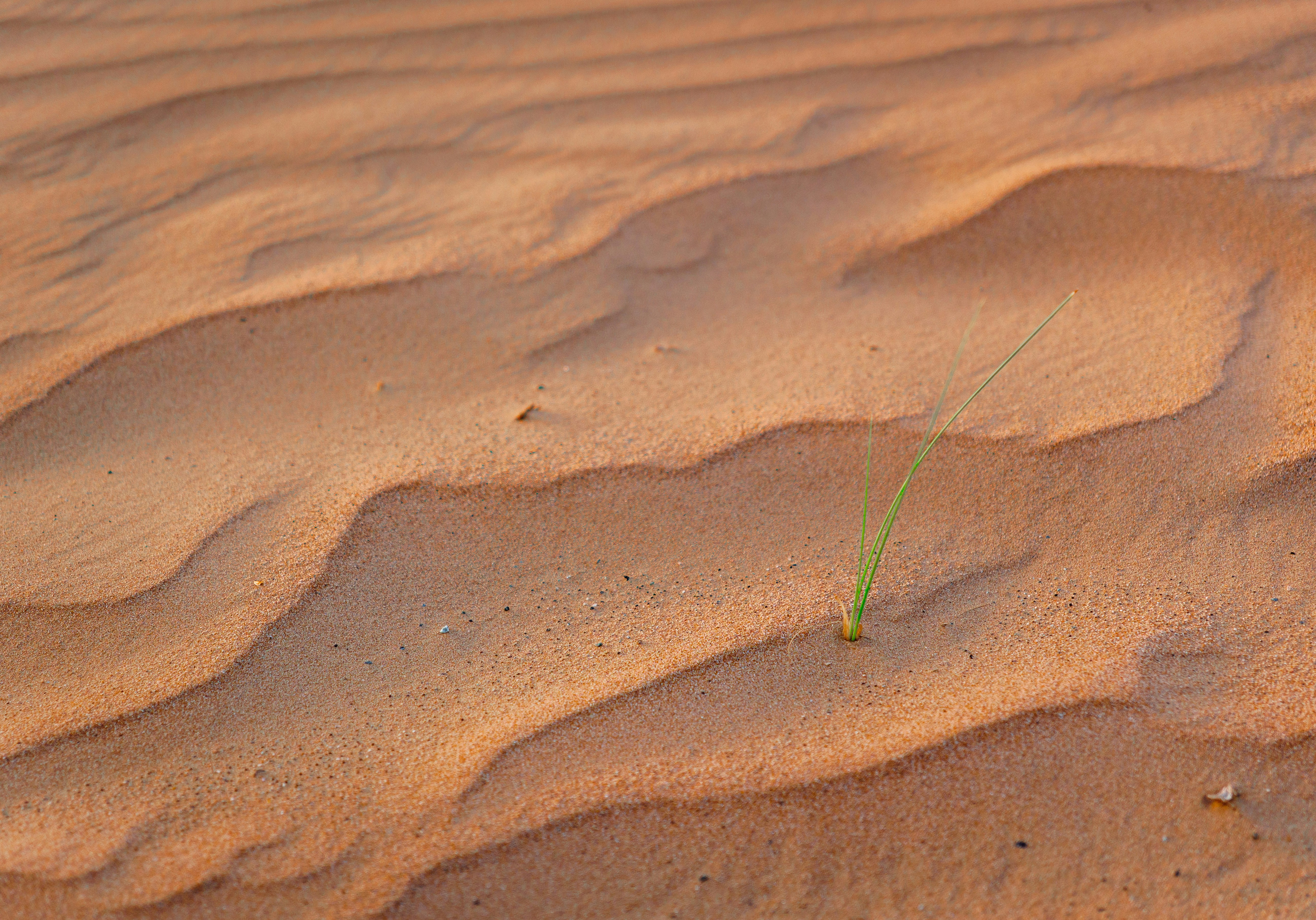 Photo by shibinjoseph