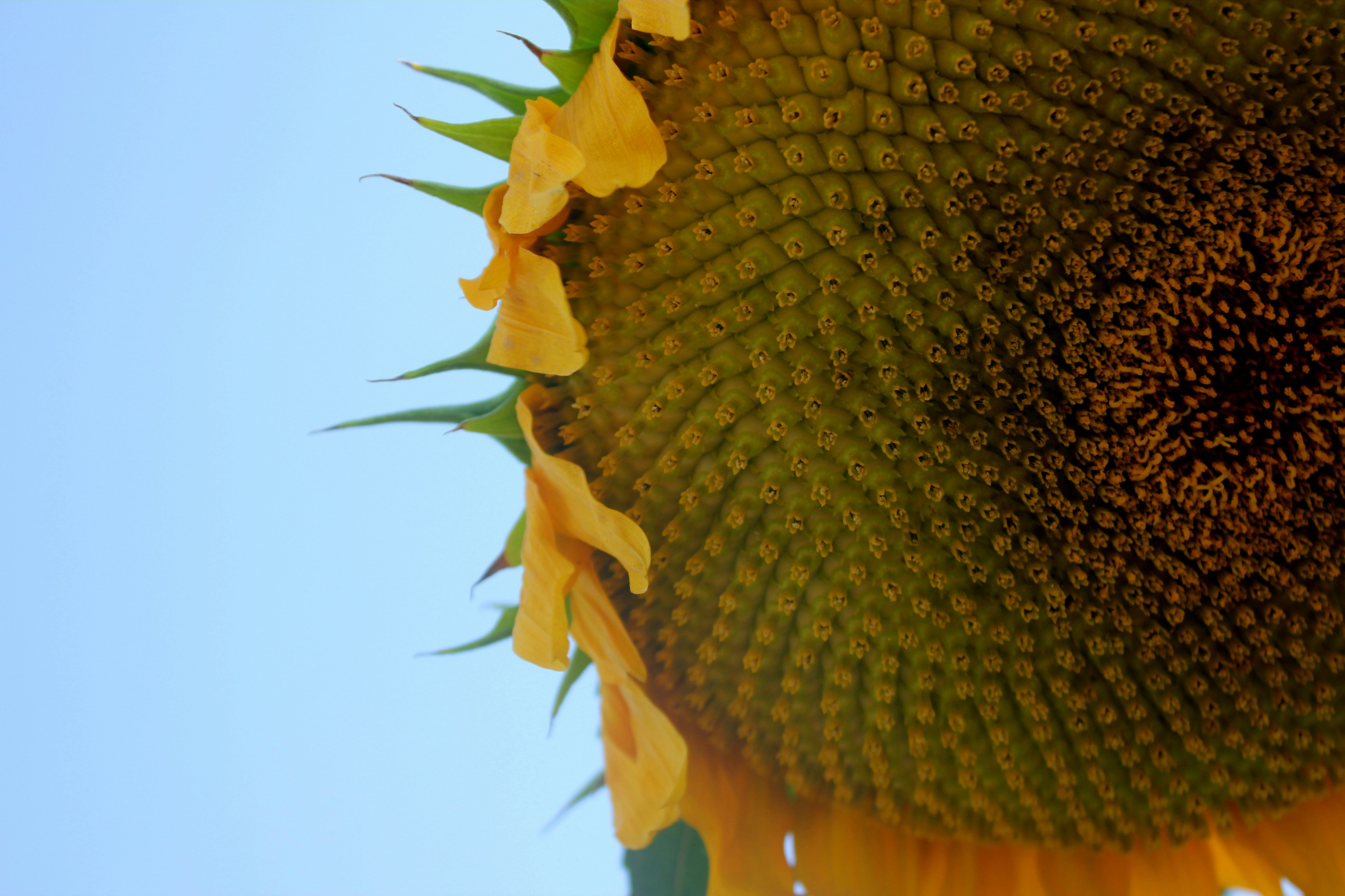 Photo by manavimoghadam