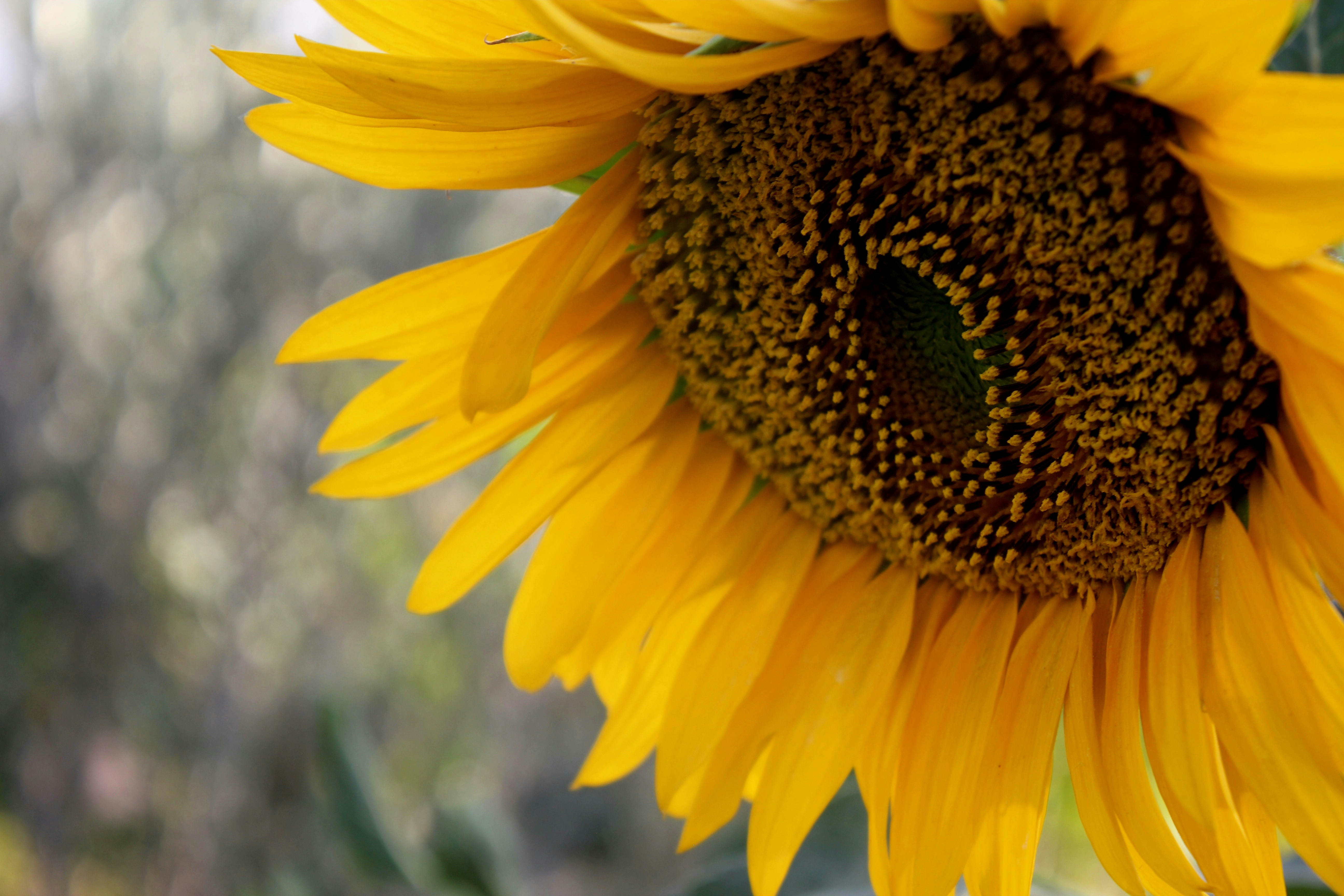 Photo by manavimoghadam