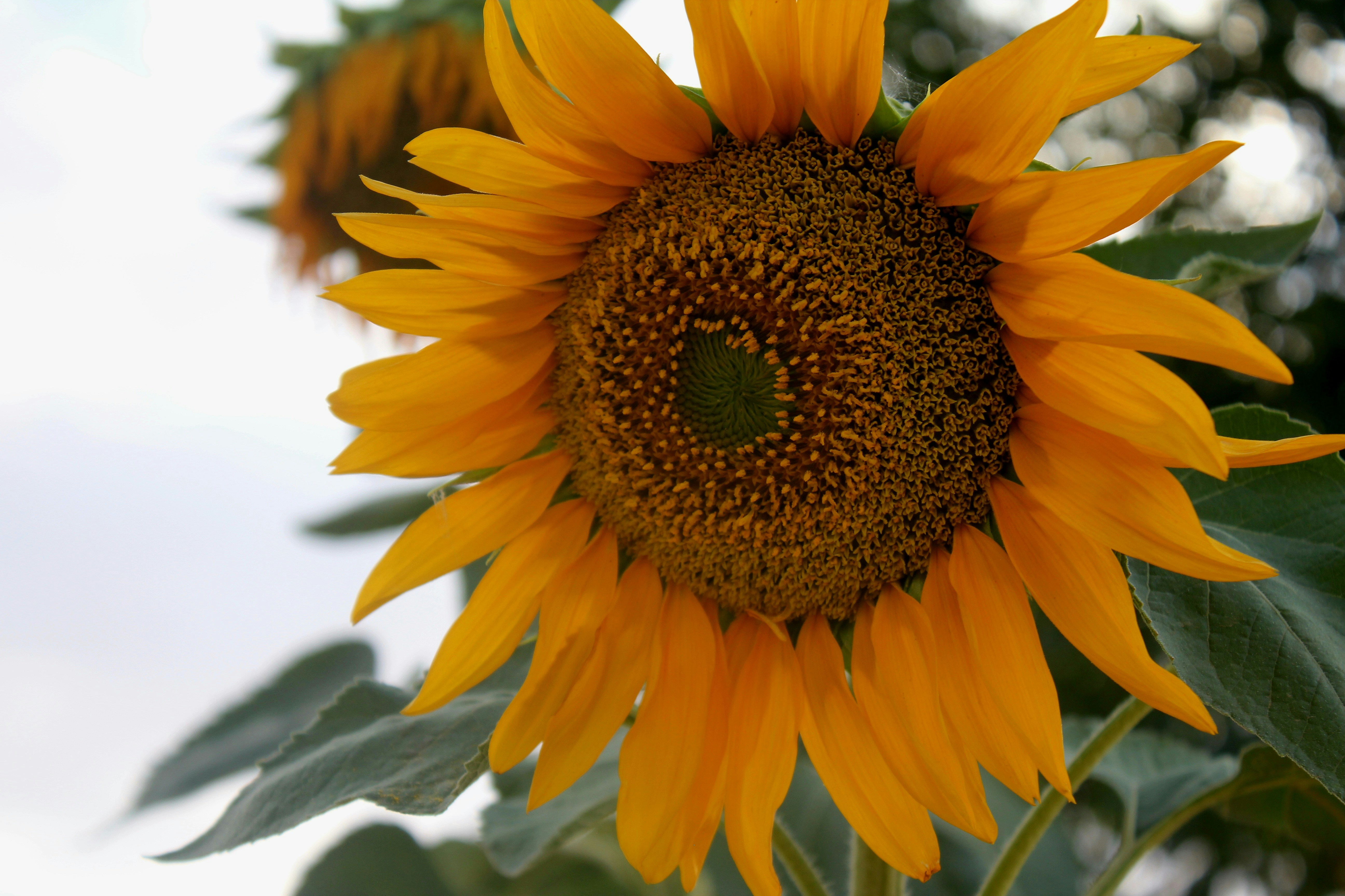 Photo by manavimoghadam