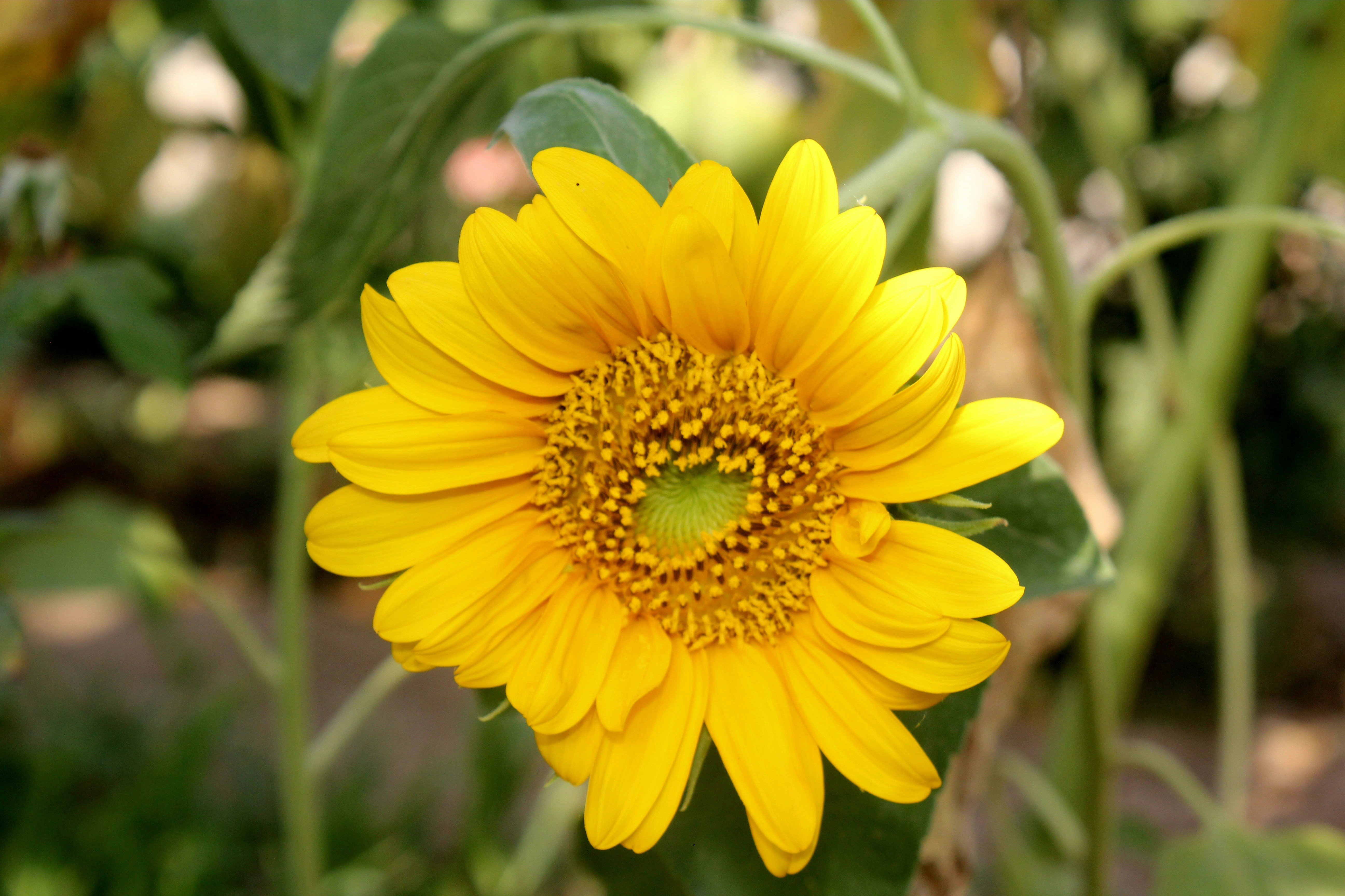 Photo by manavimoghadam