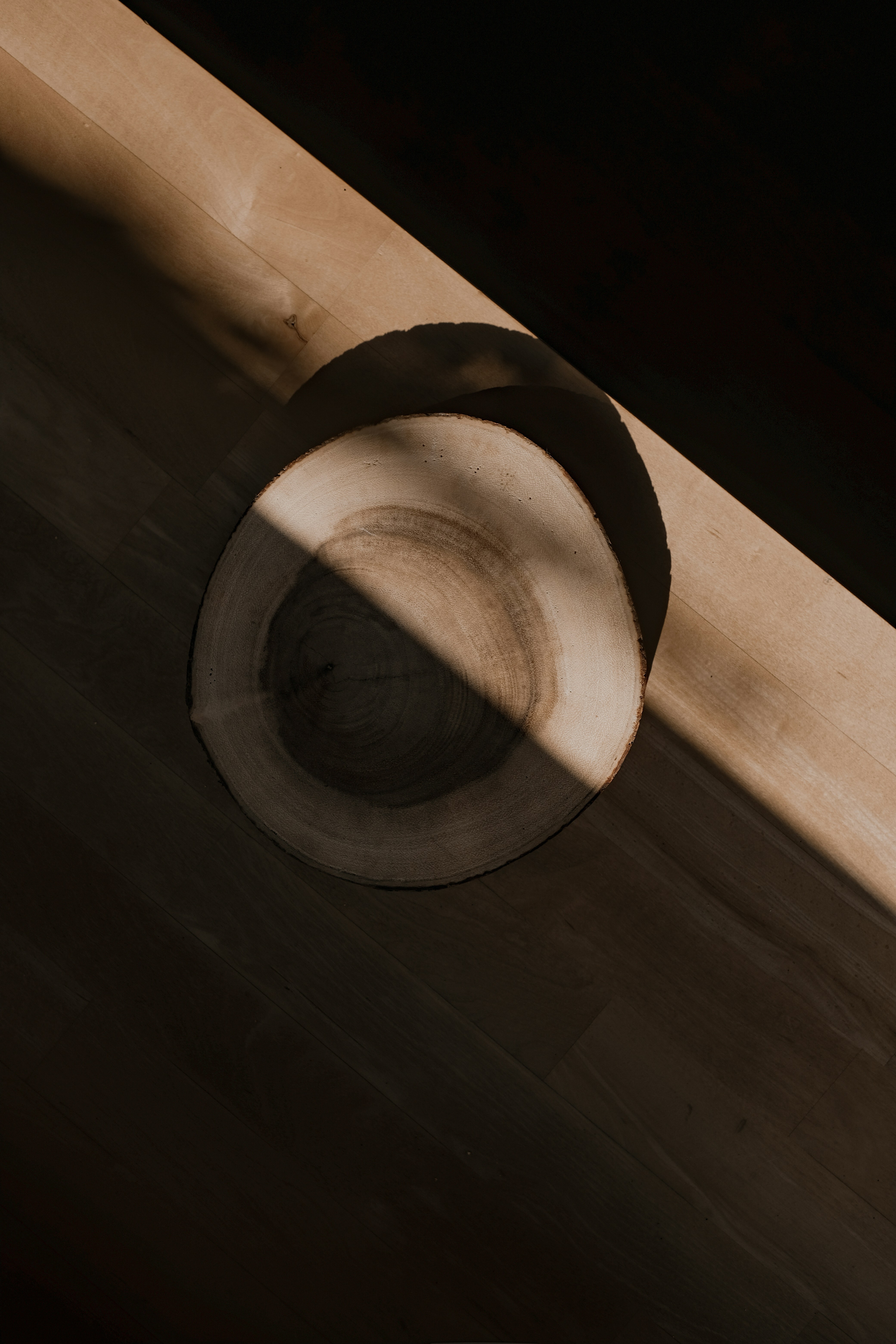 the shadow of a skateboard on a wooden floor