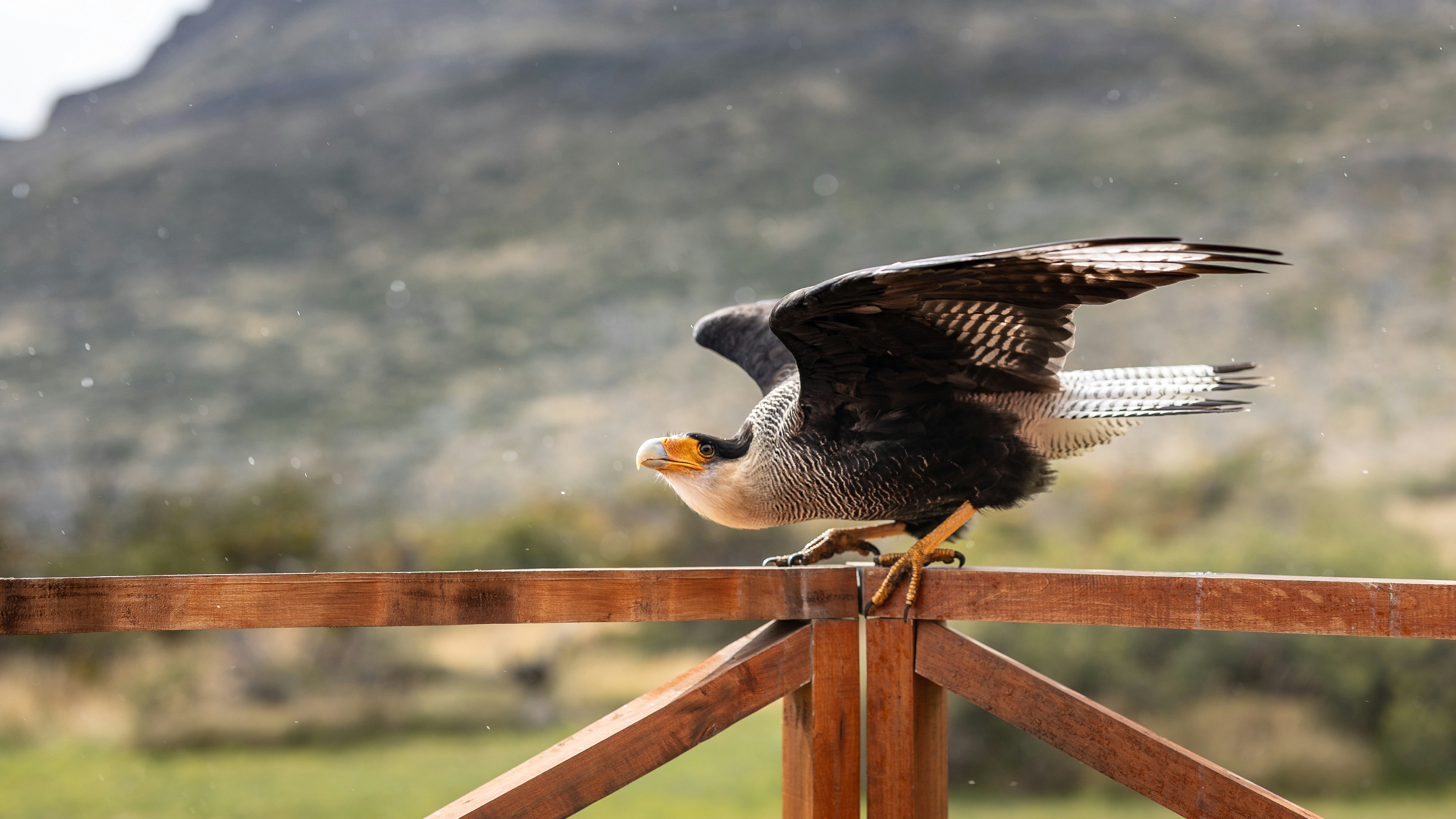 대기업 취준생을 위한 무료 인적성 교재 이벤트: NCS 100제 무료배포