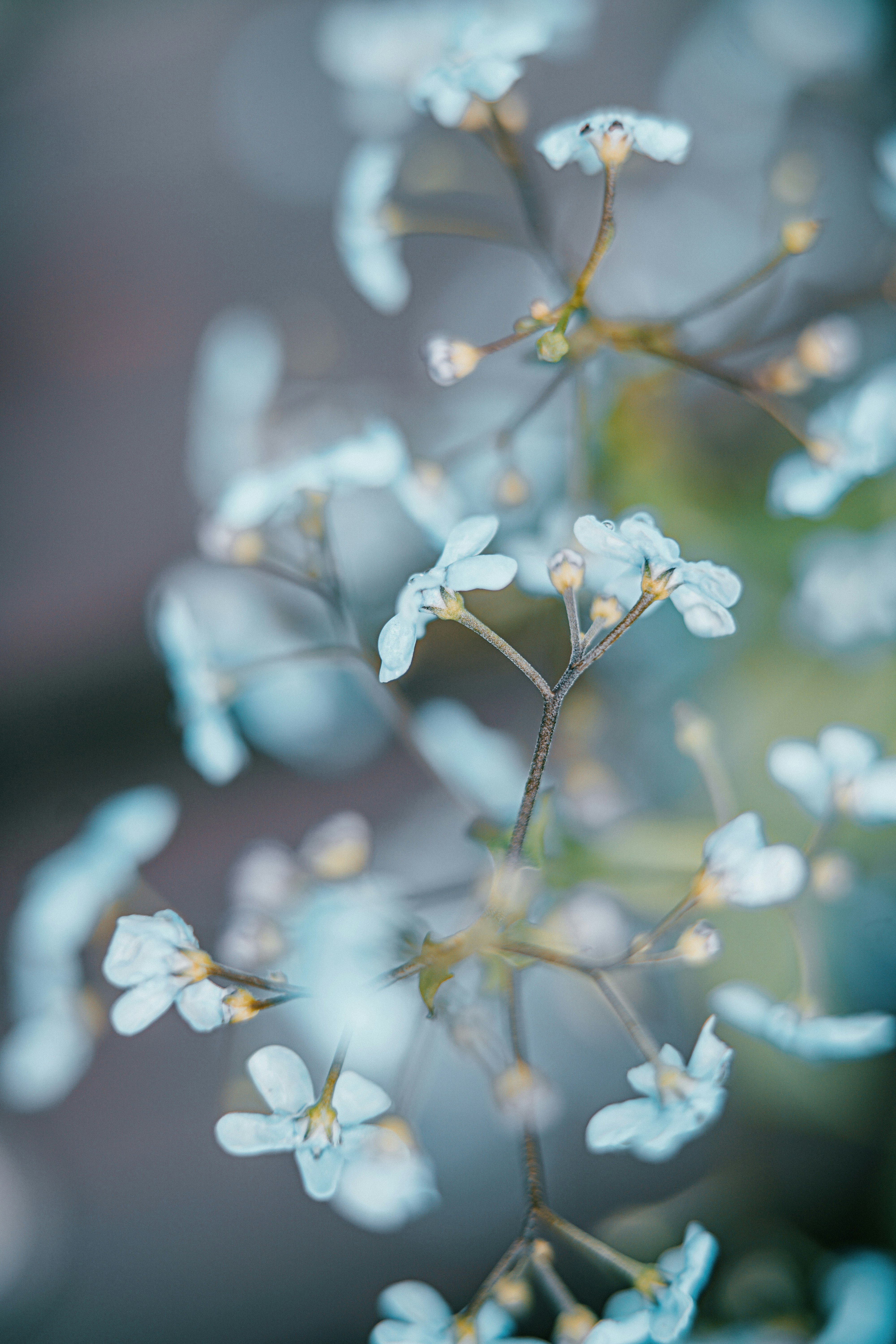 Photo by anamnesis33