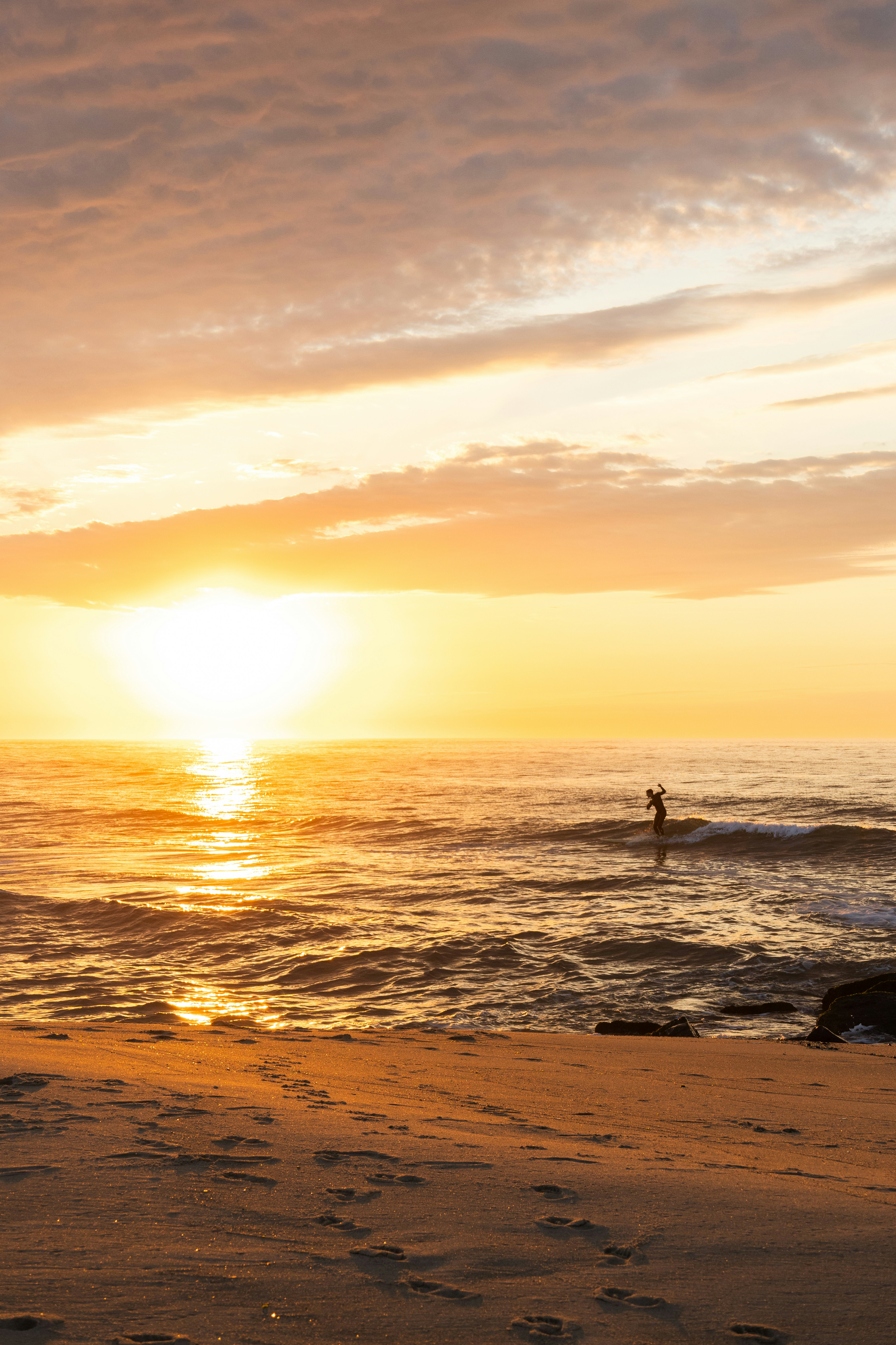 Belmar New Jersey Shade Tree Program & Tree Maintenance
