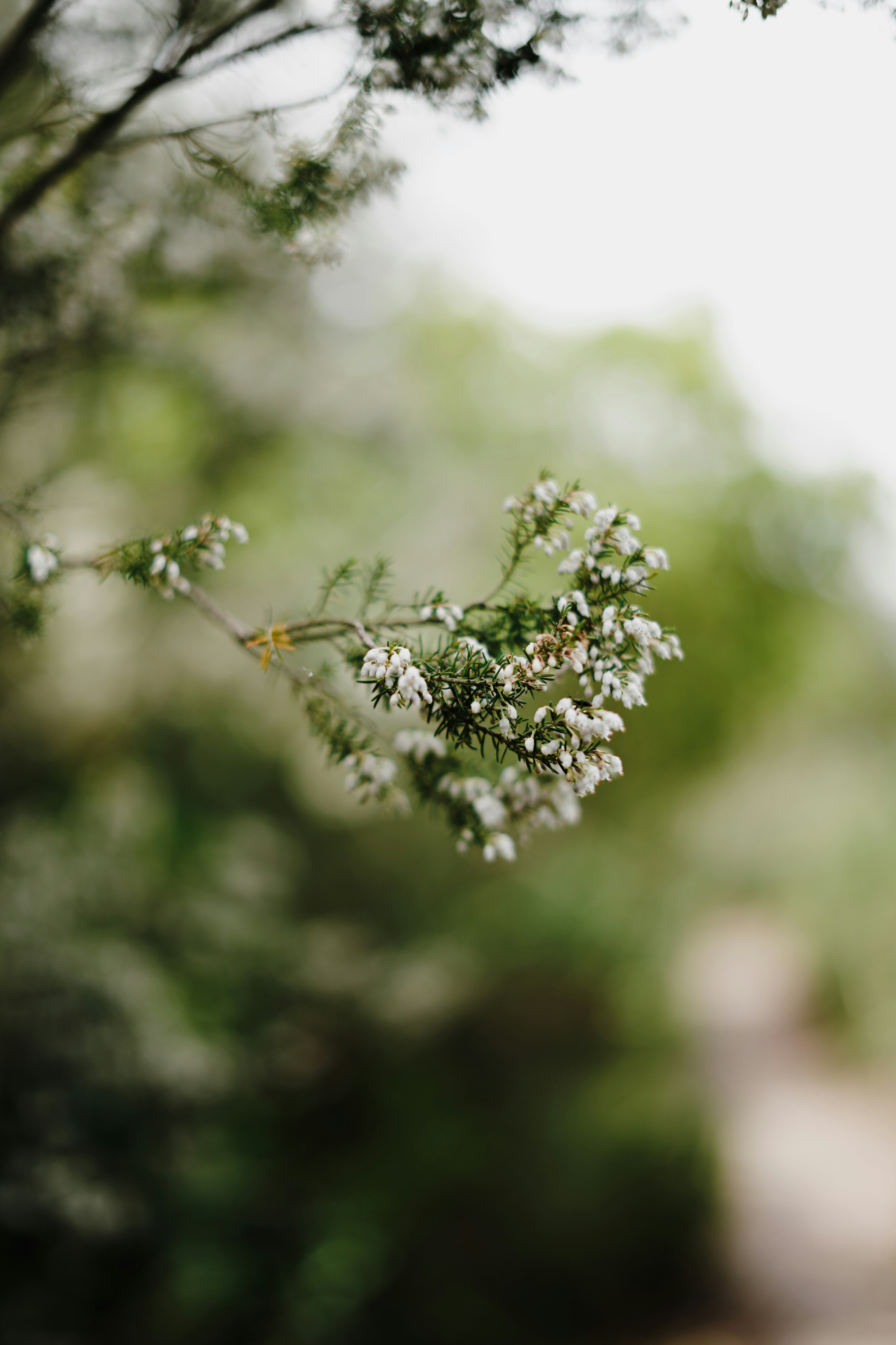 Photo by uriocallaghan