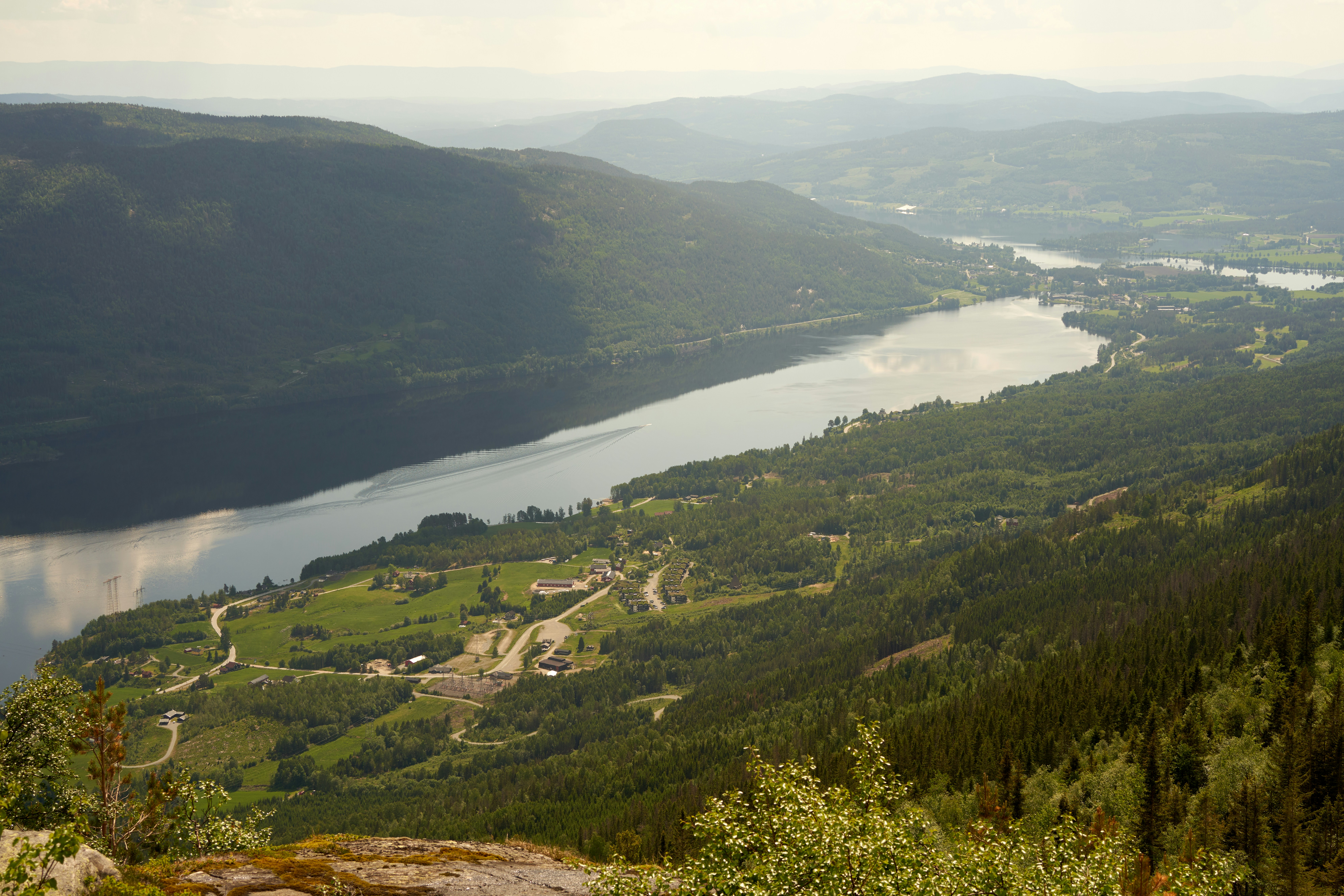 Photo by davotibarna