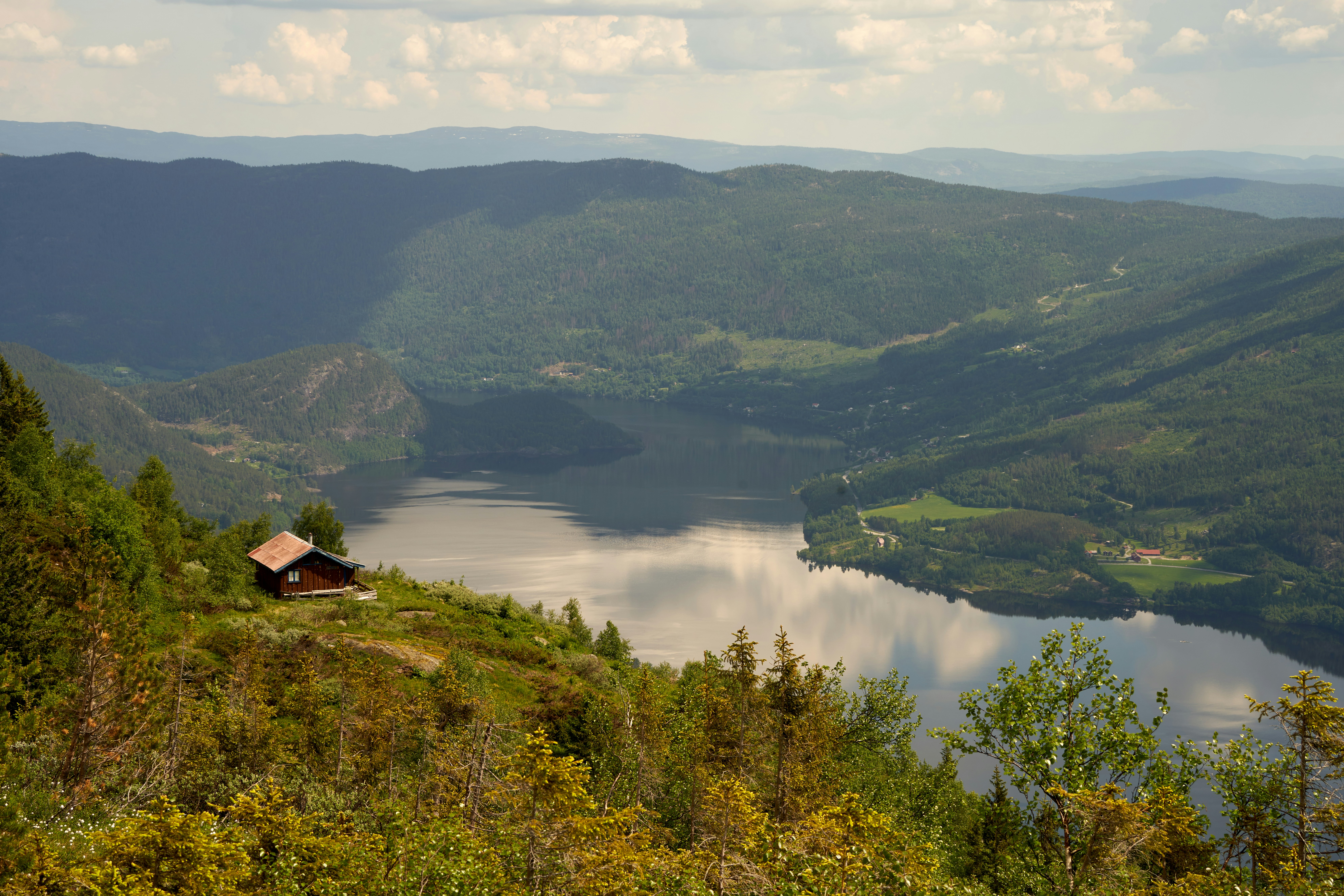 Photo by davotibarna