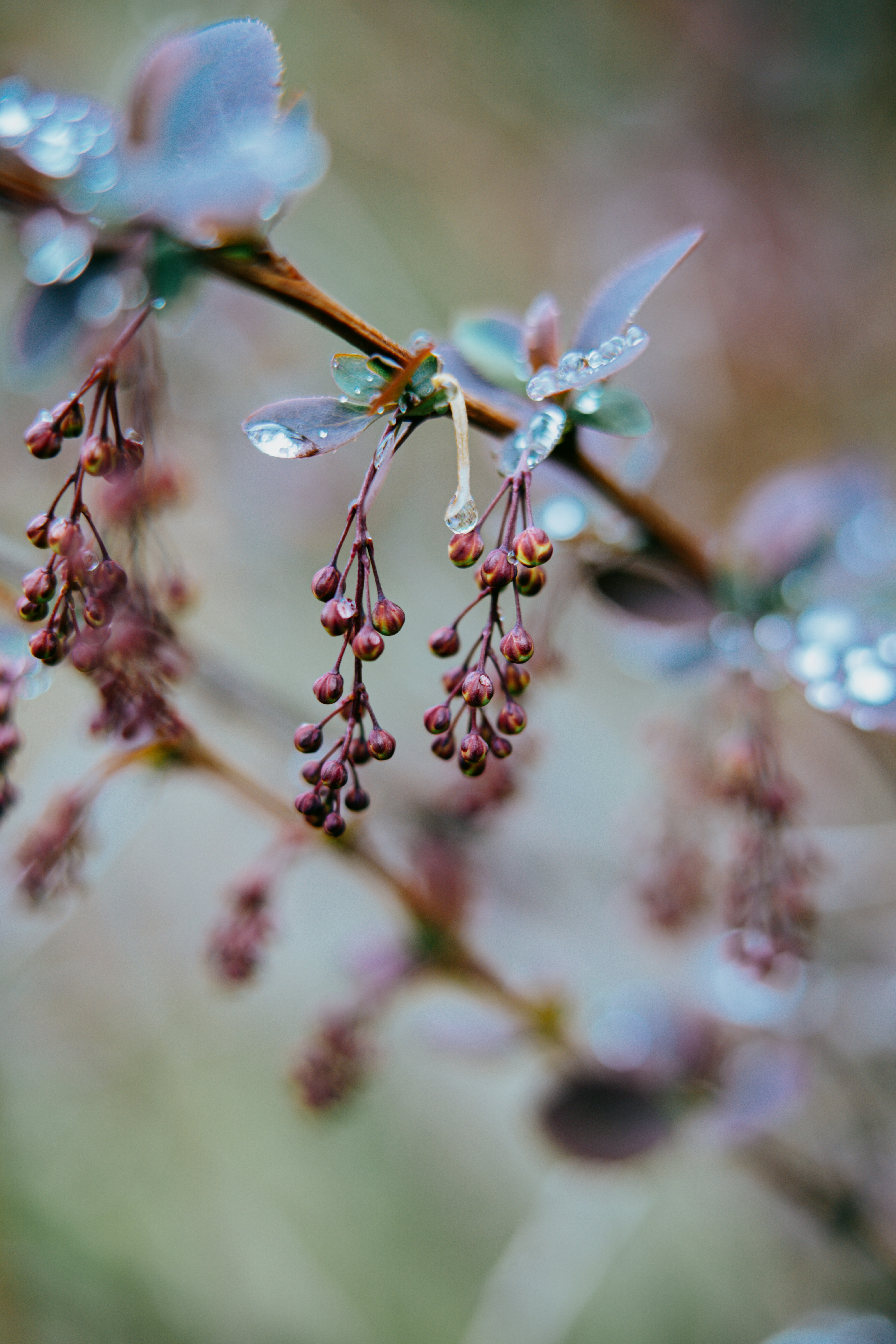 Photo by anamnesis33