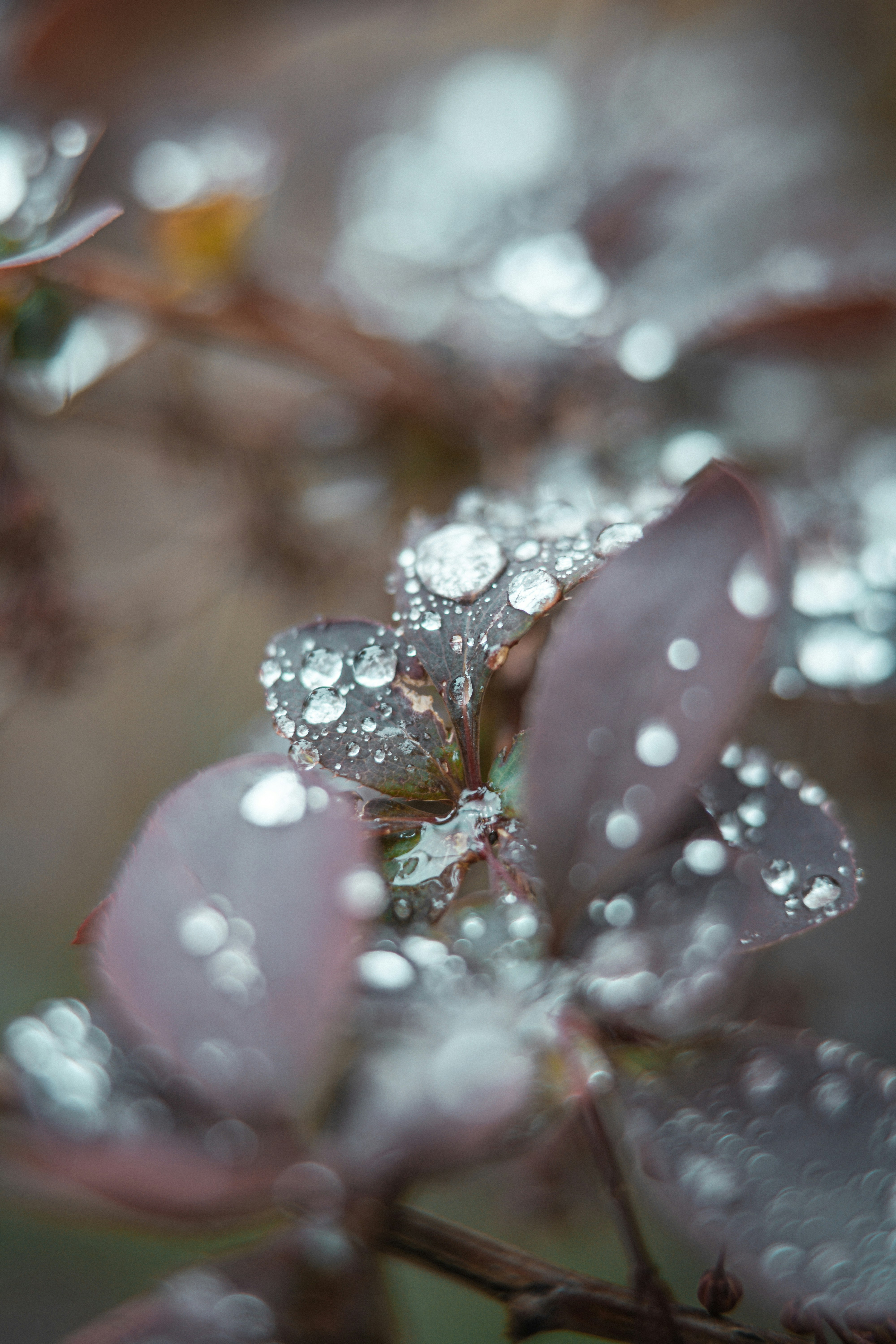 Photo by anamnesis33