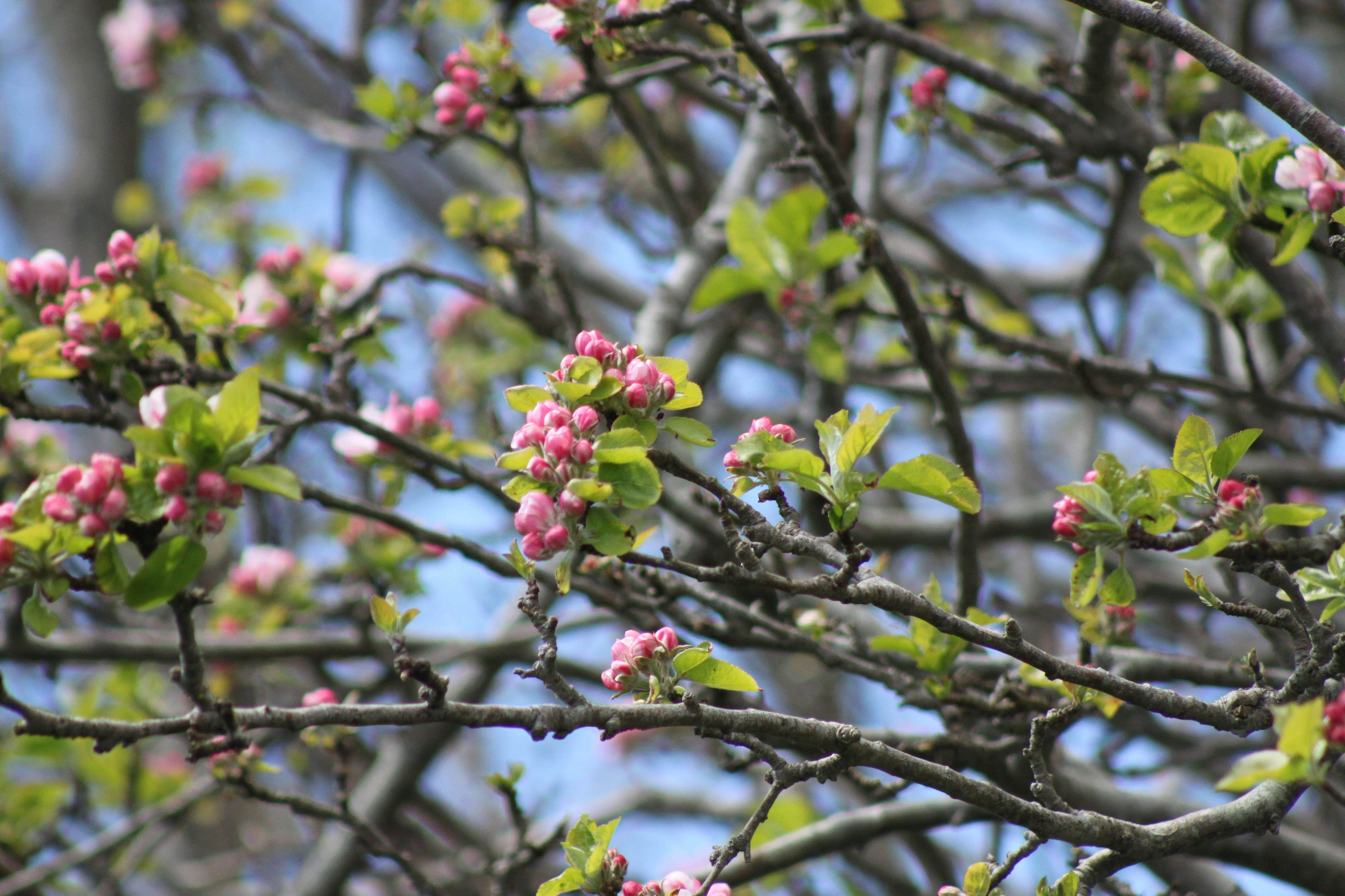 Photo by rubyphotography