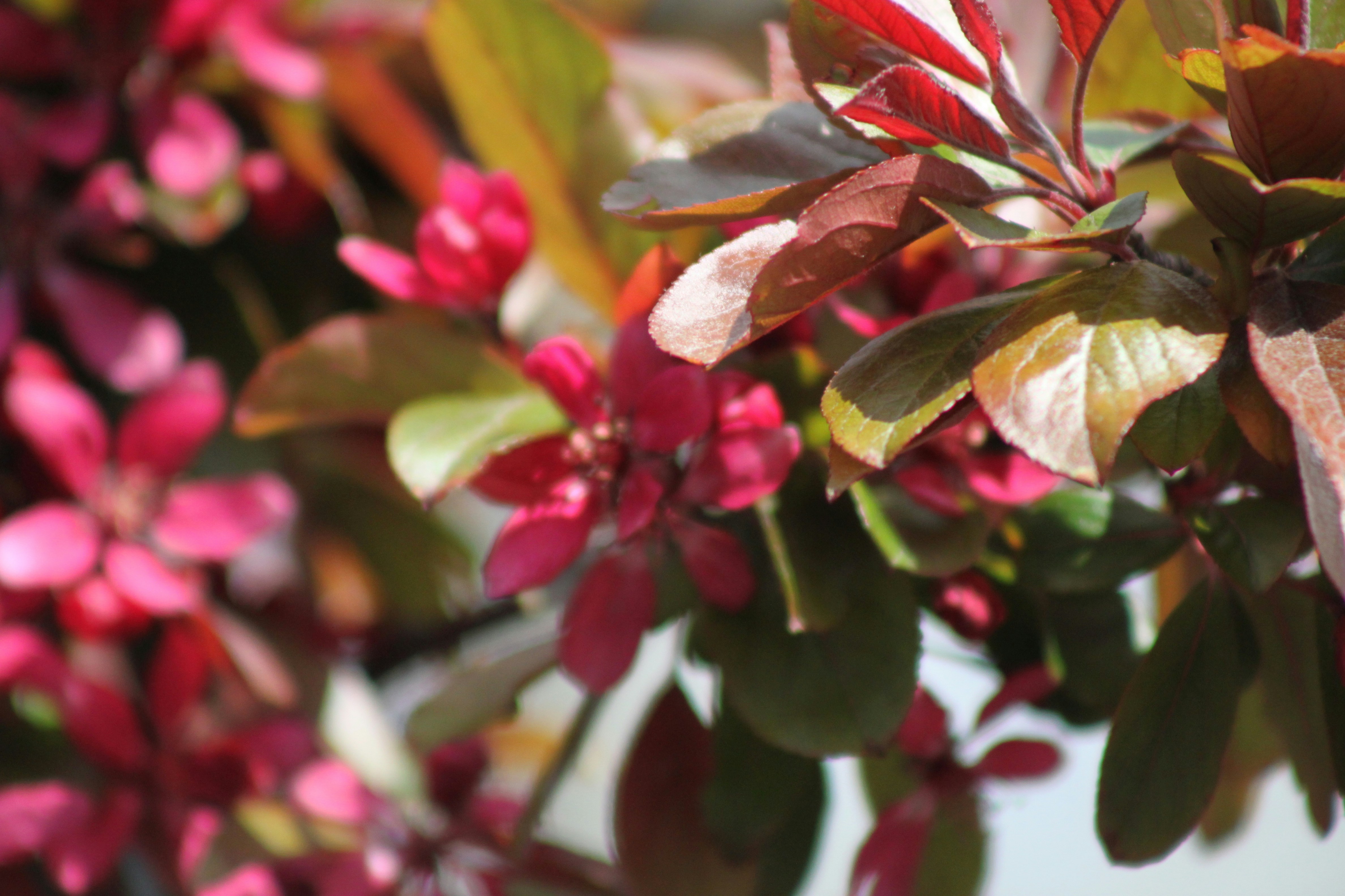 Photo by rubyphotography