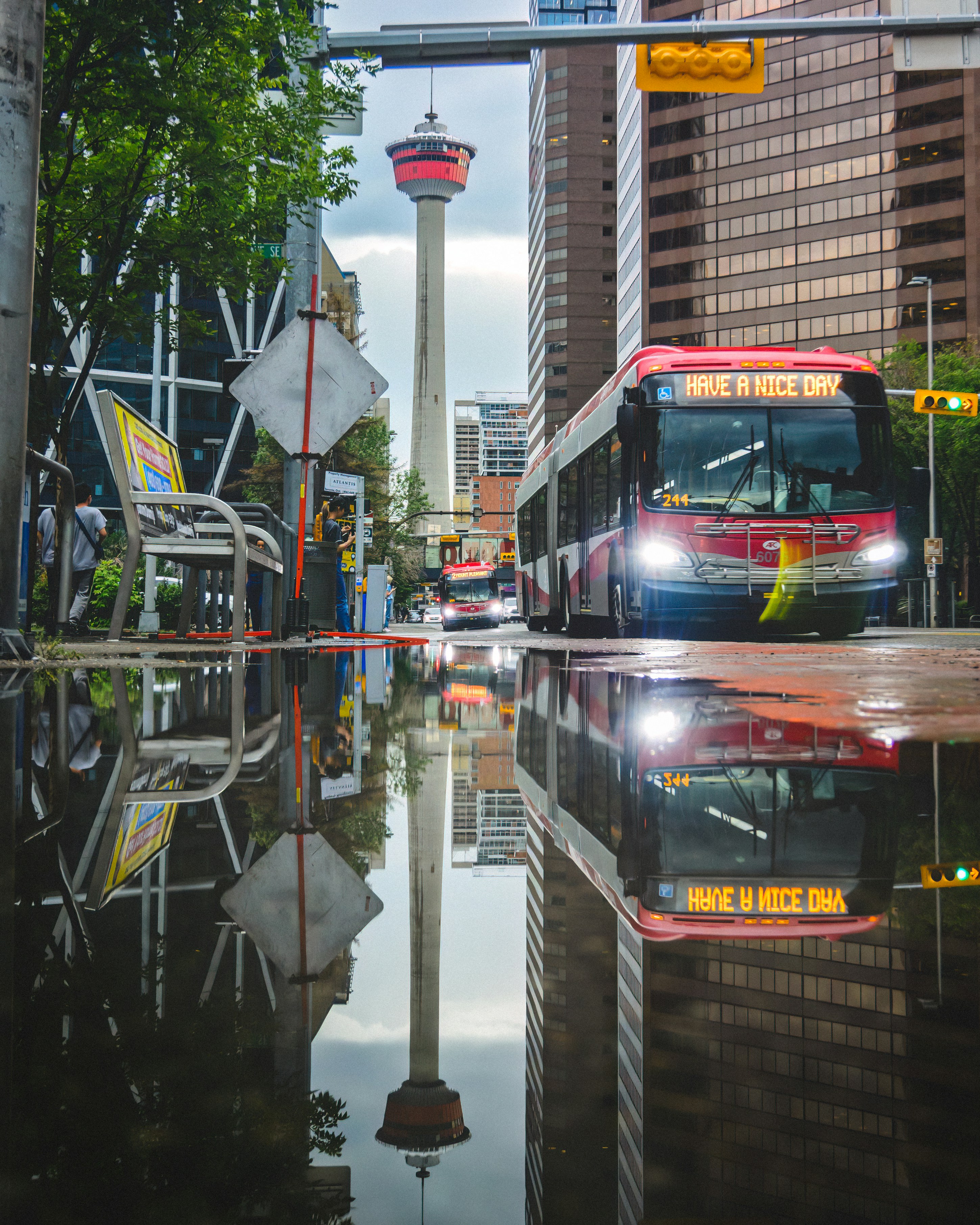 CIWA Opens Free 10-Week Digital Marketing Training for Immigrant Women in Calgary