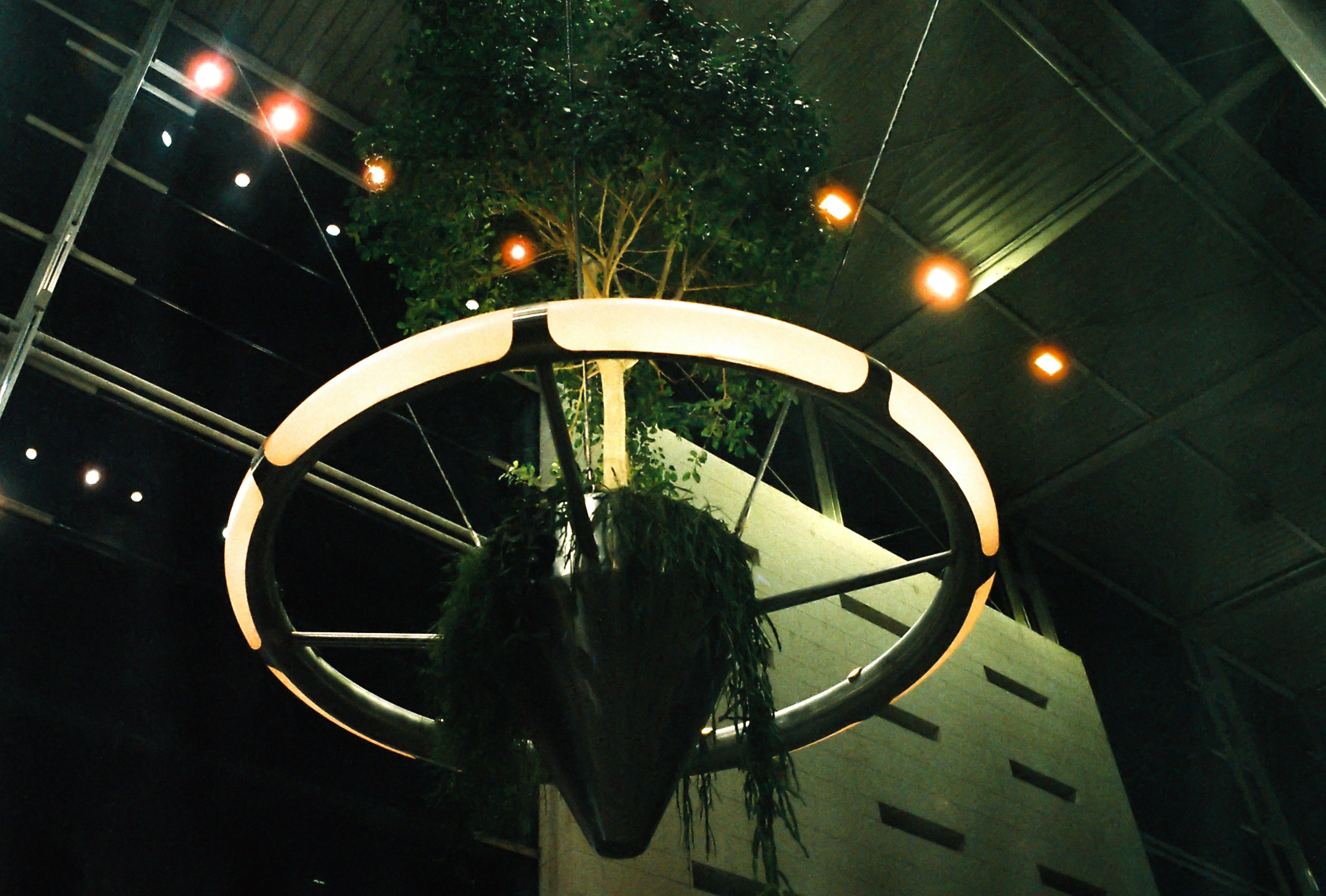 a hanging tree in a building at night