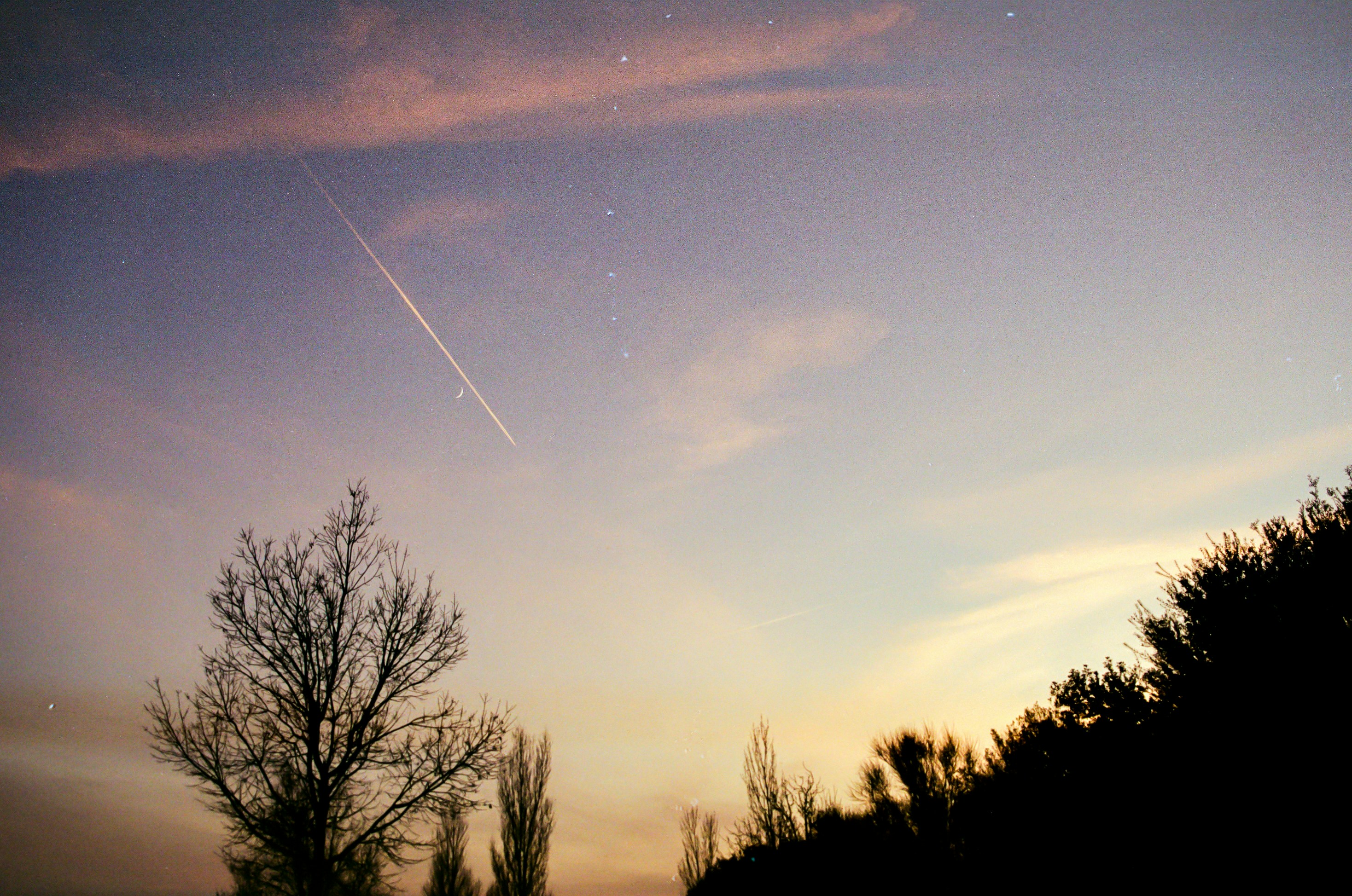 Photo by leob_photography