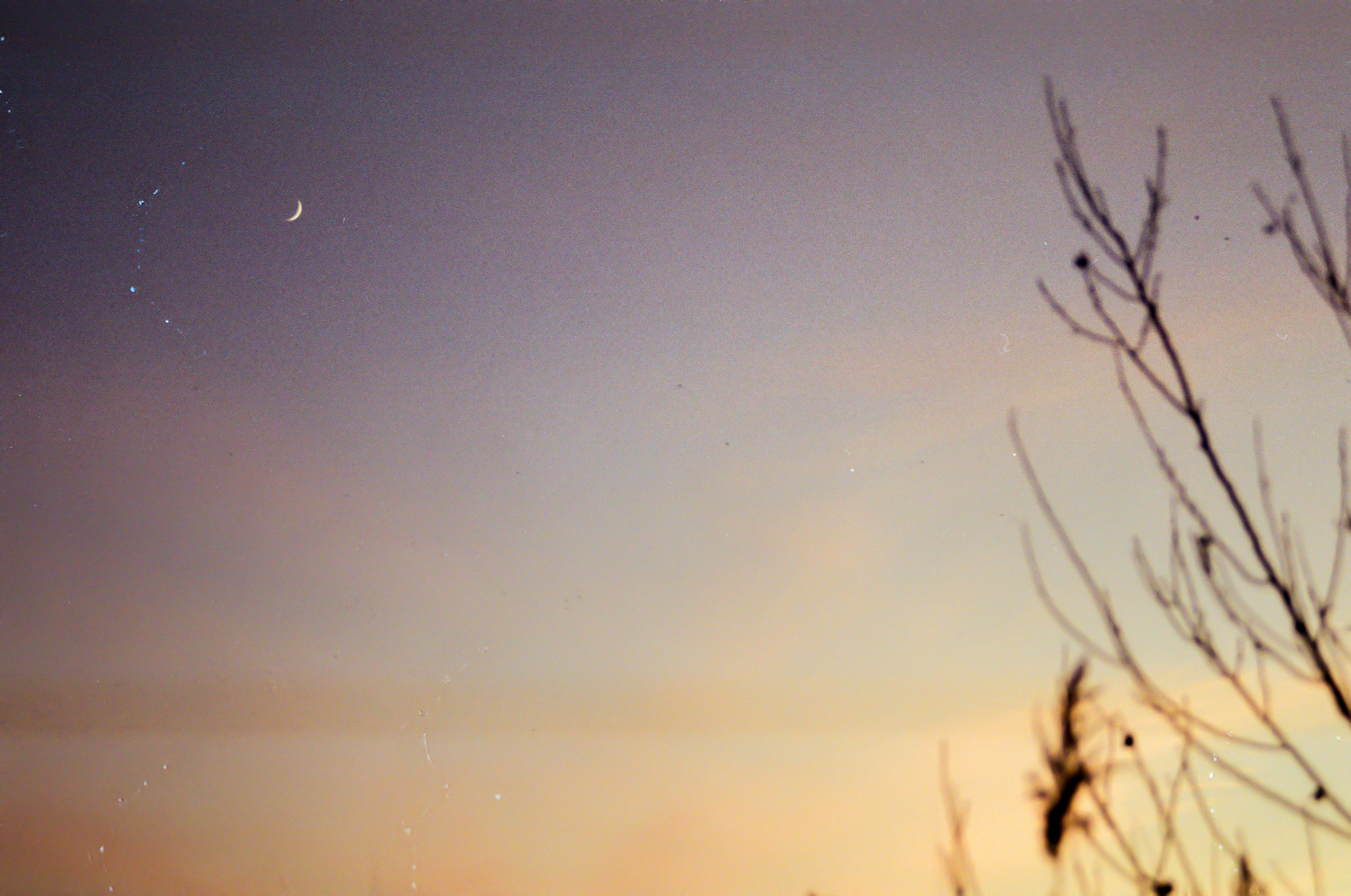 Photo by leob_photography