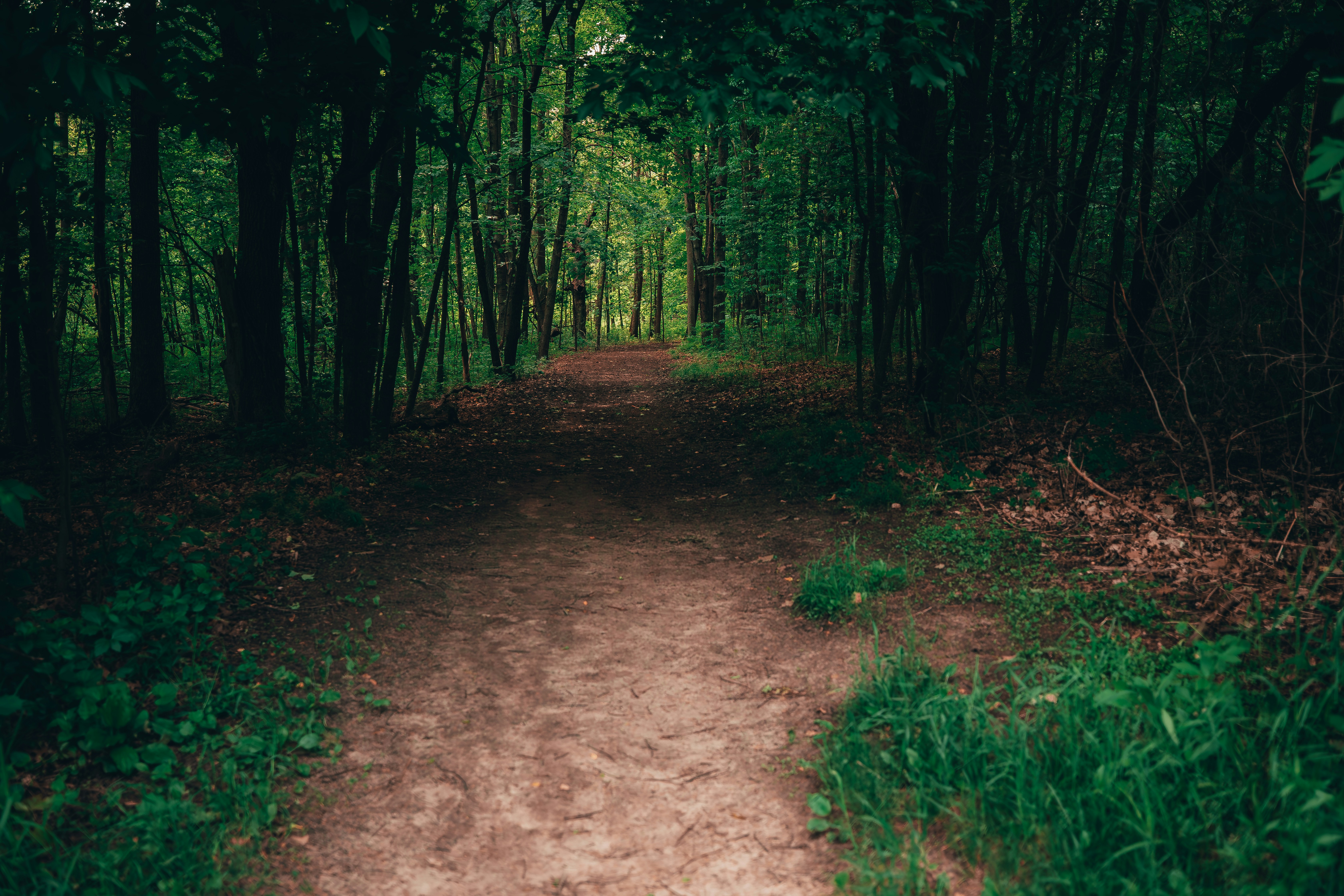 Photo by codywaters001