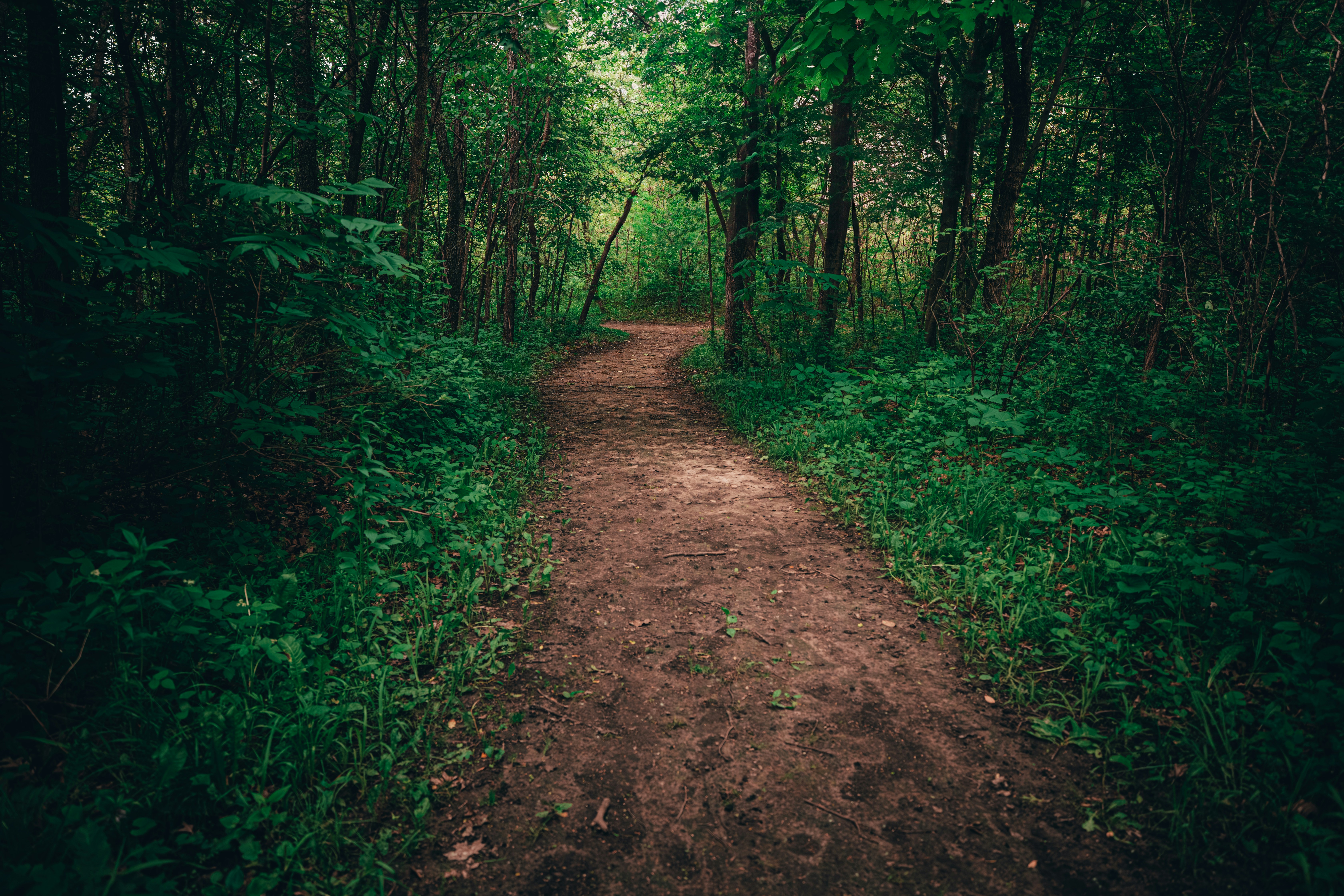 Photo by codywaters001