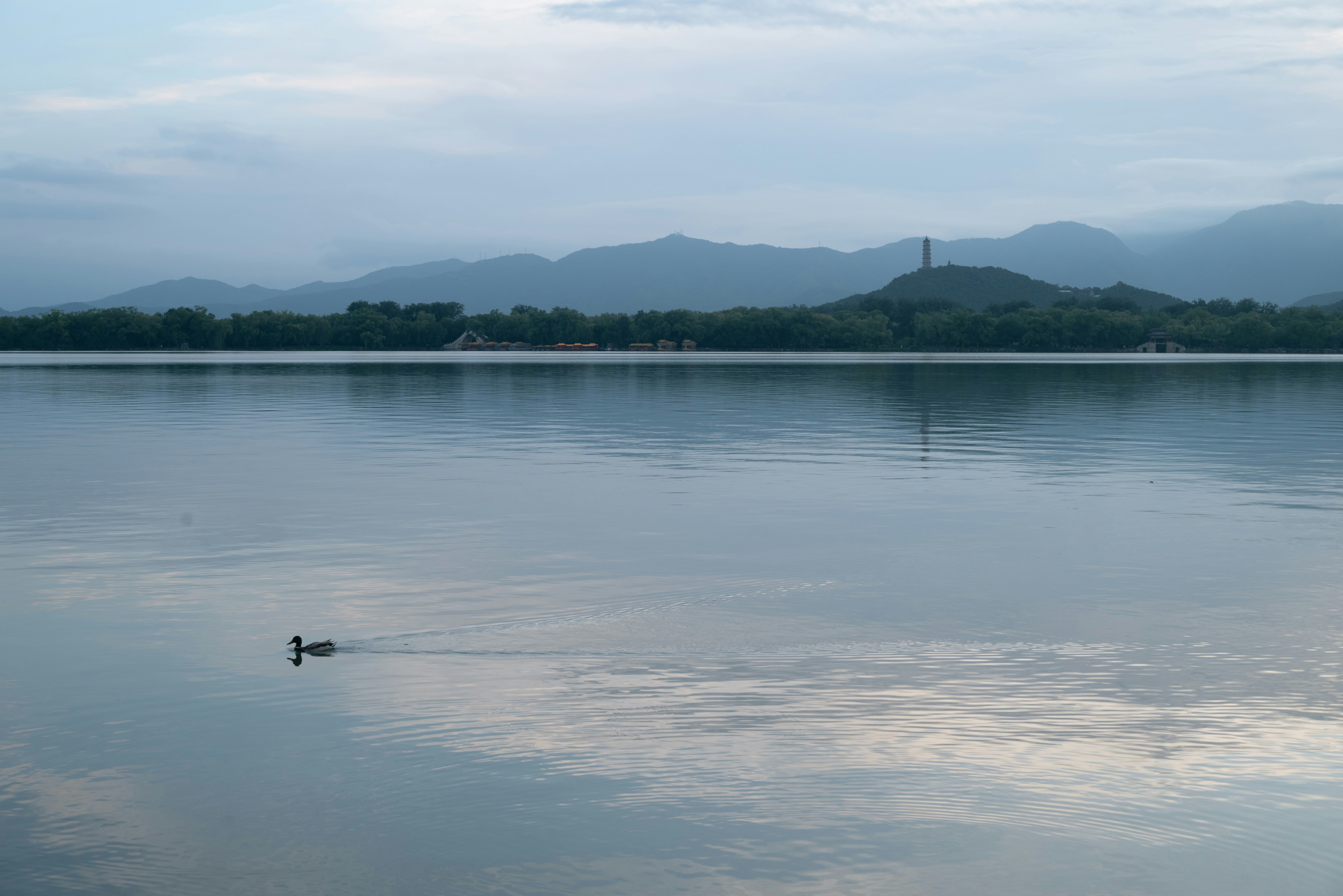 Photo by nikol_royce