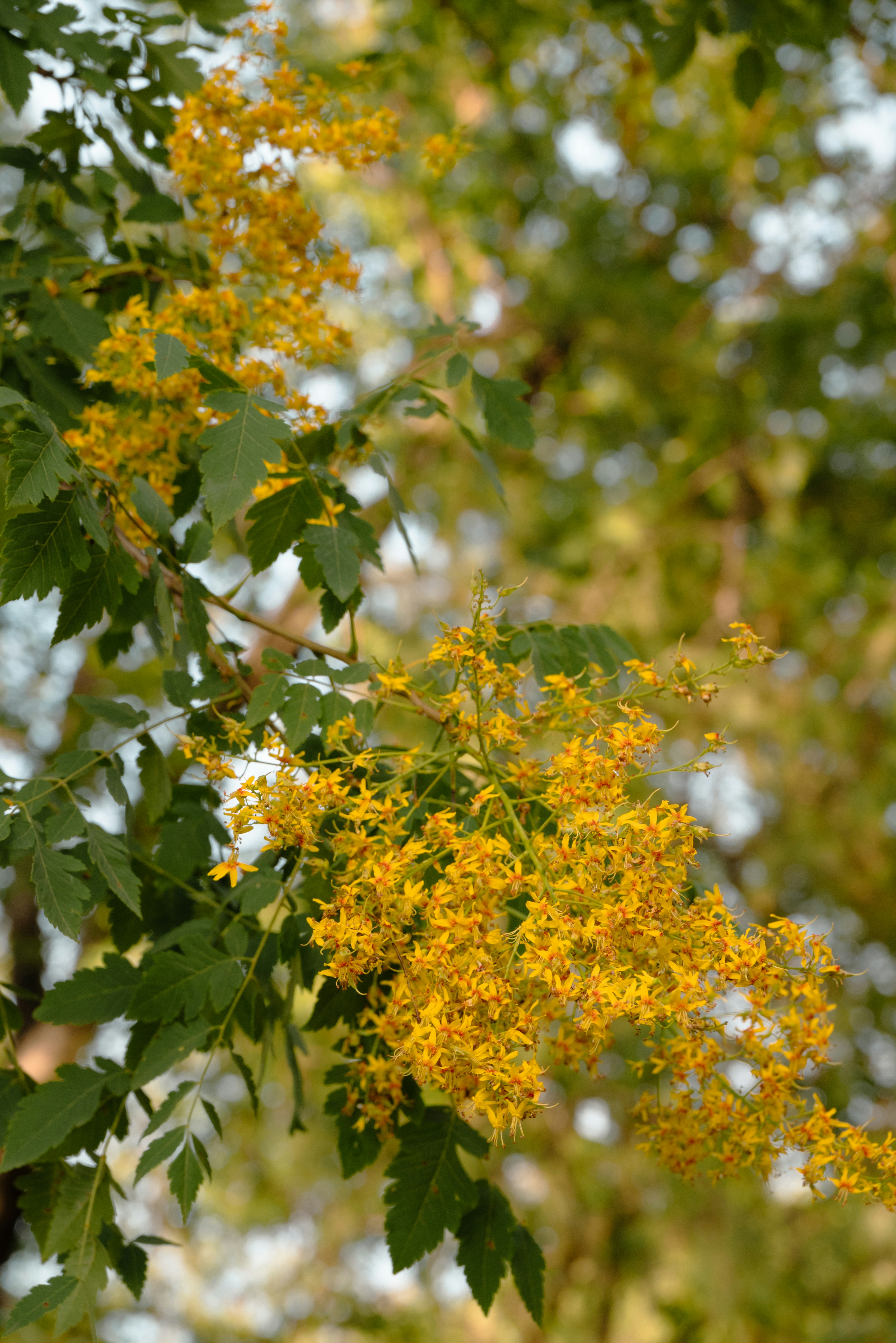 Photo by nikol_royce